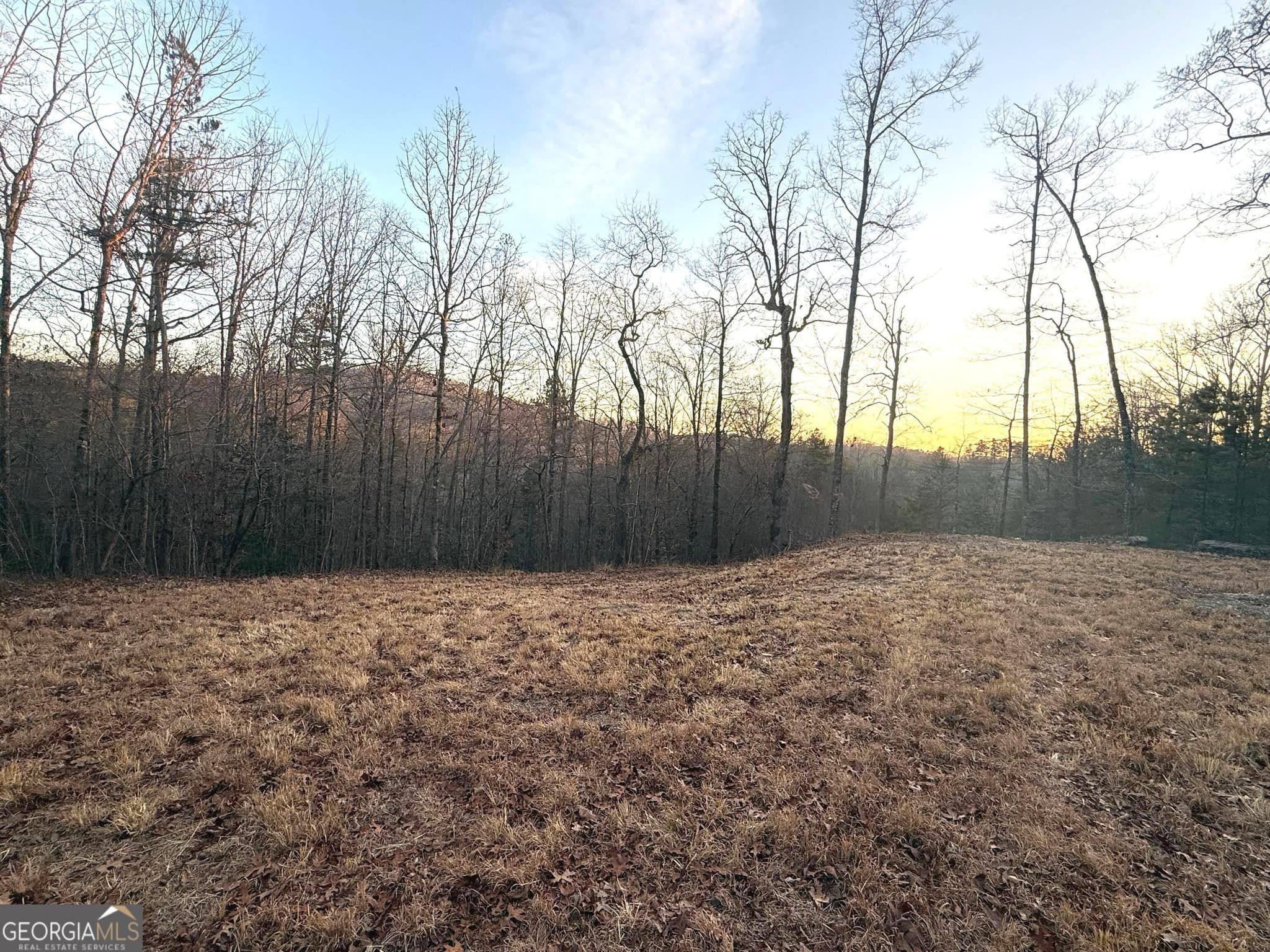 estate lot for sale at 426 Rockhouse Crossing, Demorest, GA 30535 — photo 4