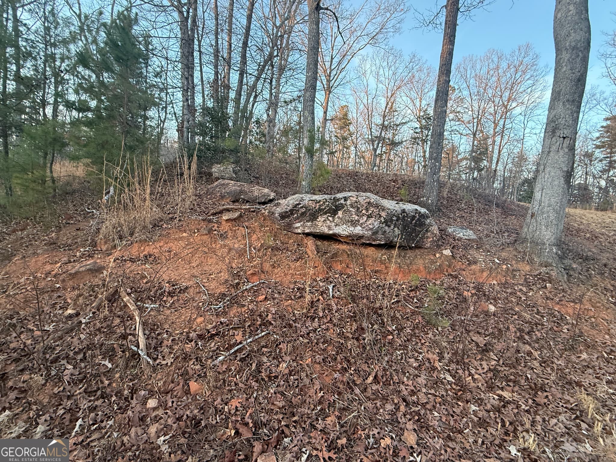 estate lot for sale at 426 Rockhouse Crossing, Demorest, GA 30535 — photo 8