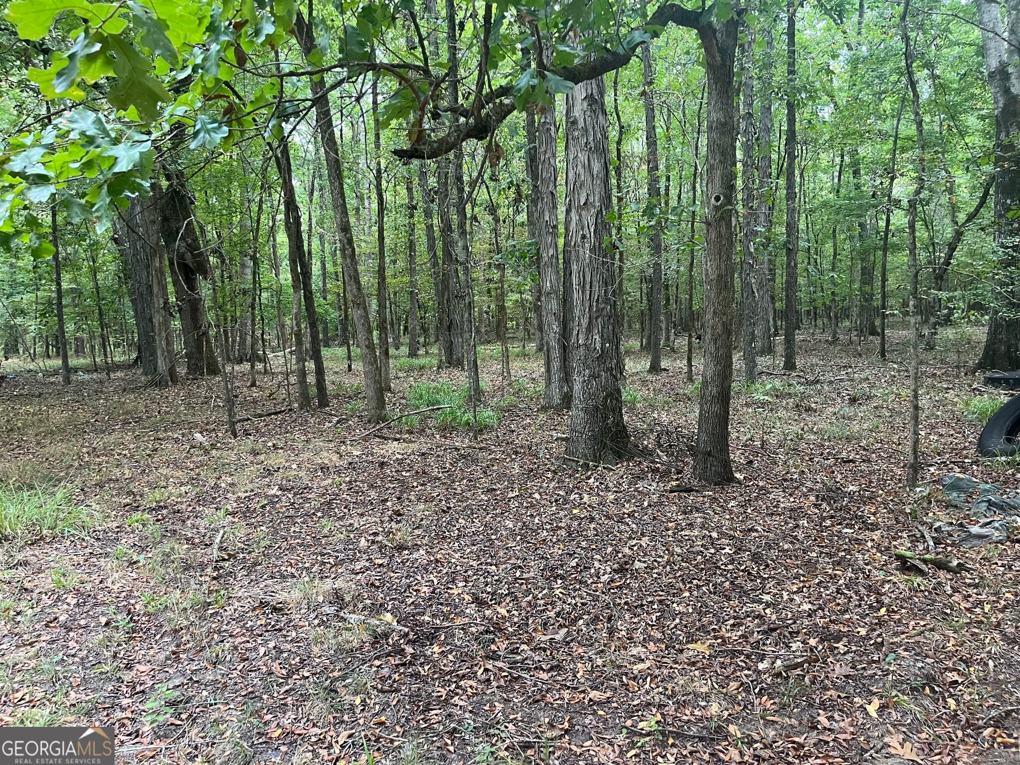 agriculture under contract at 0 Vinson Road, Tignall, GA 30668 — photo 6