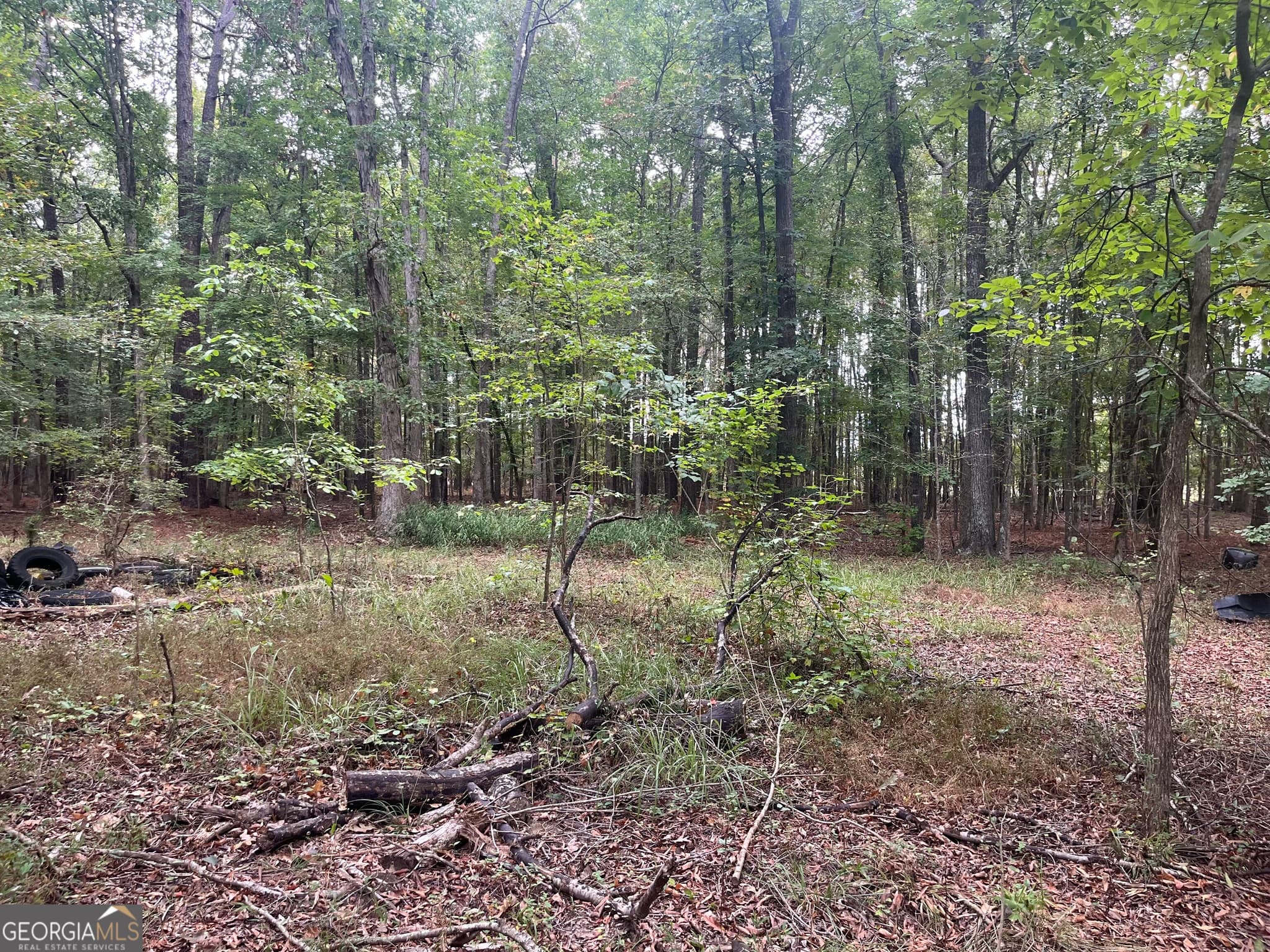 agriculture under contract at 0 Vinson Road, Tignall, GA 30668 — photo 7