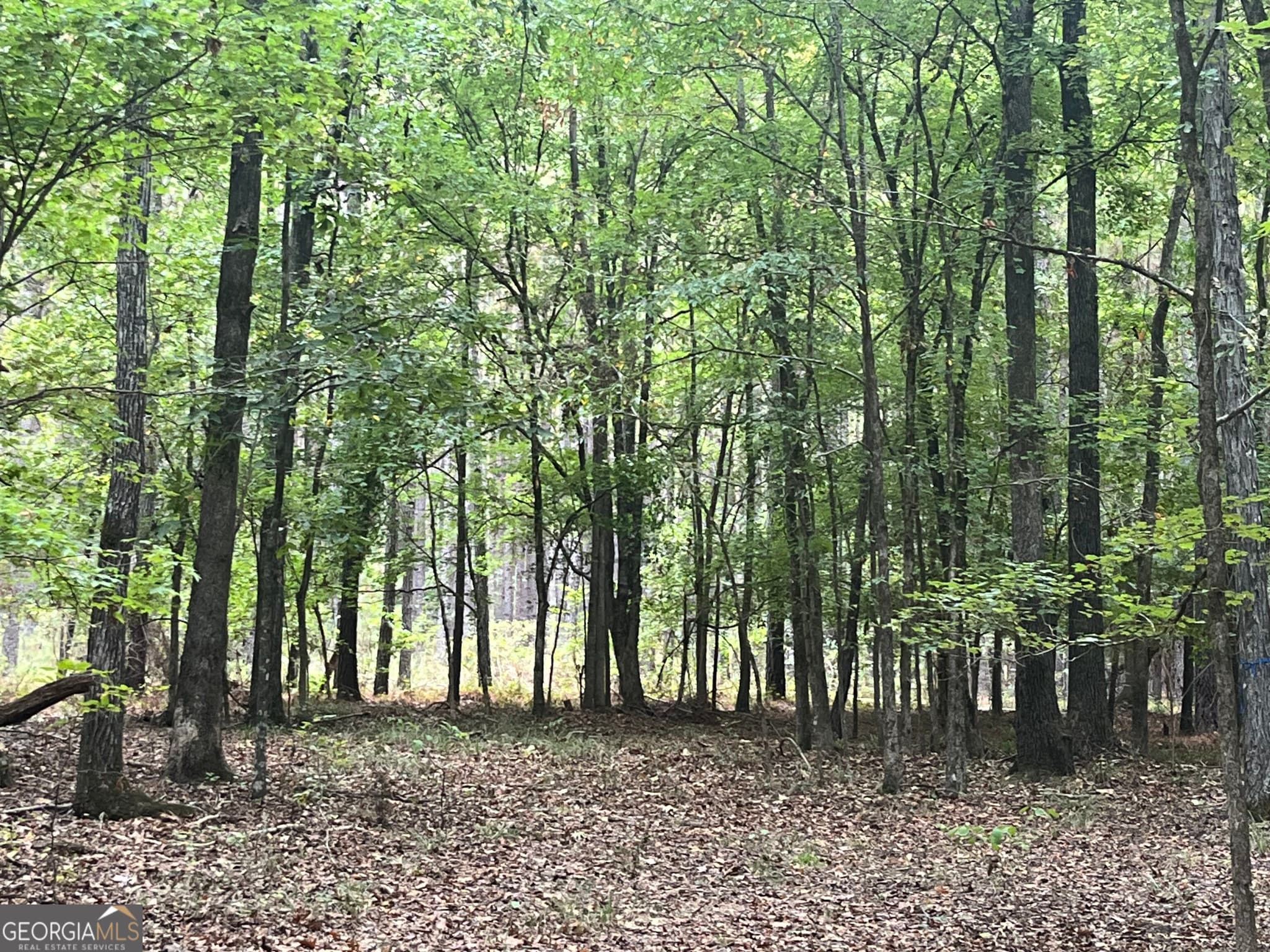 agriculture under contract at 0 Vinson Road, Tignall, GA 30668 — photo 5