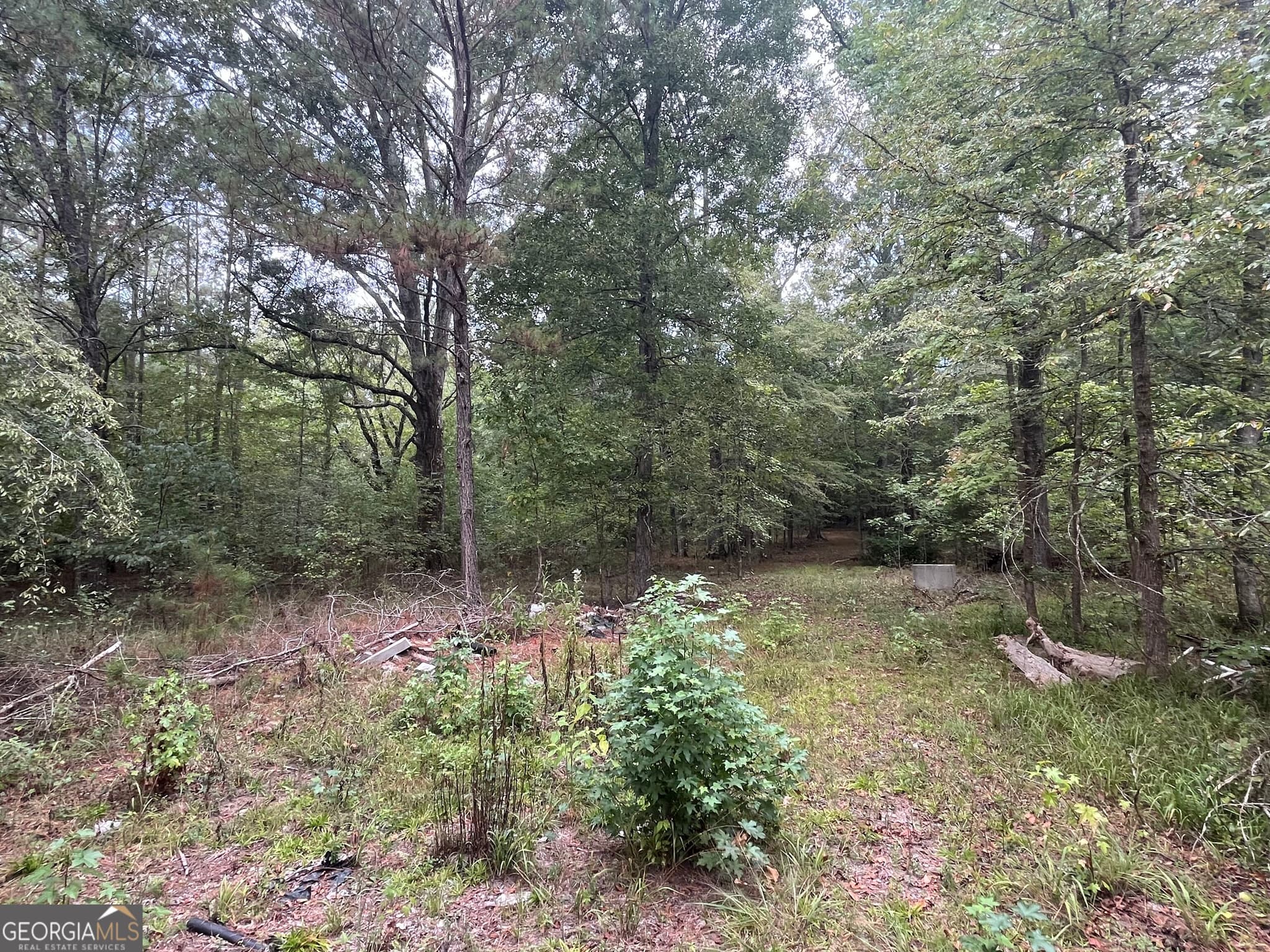 agriculture under contract at 0 Vinson Road, Tignall, GA 30668 — photo 9