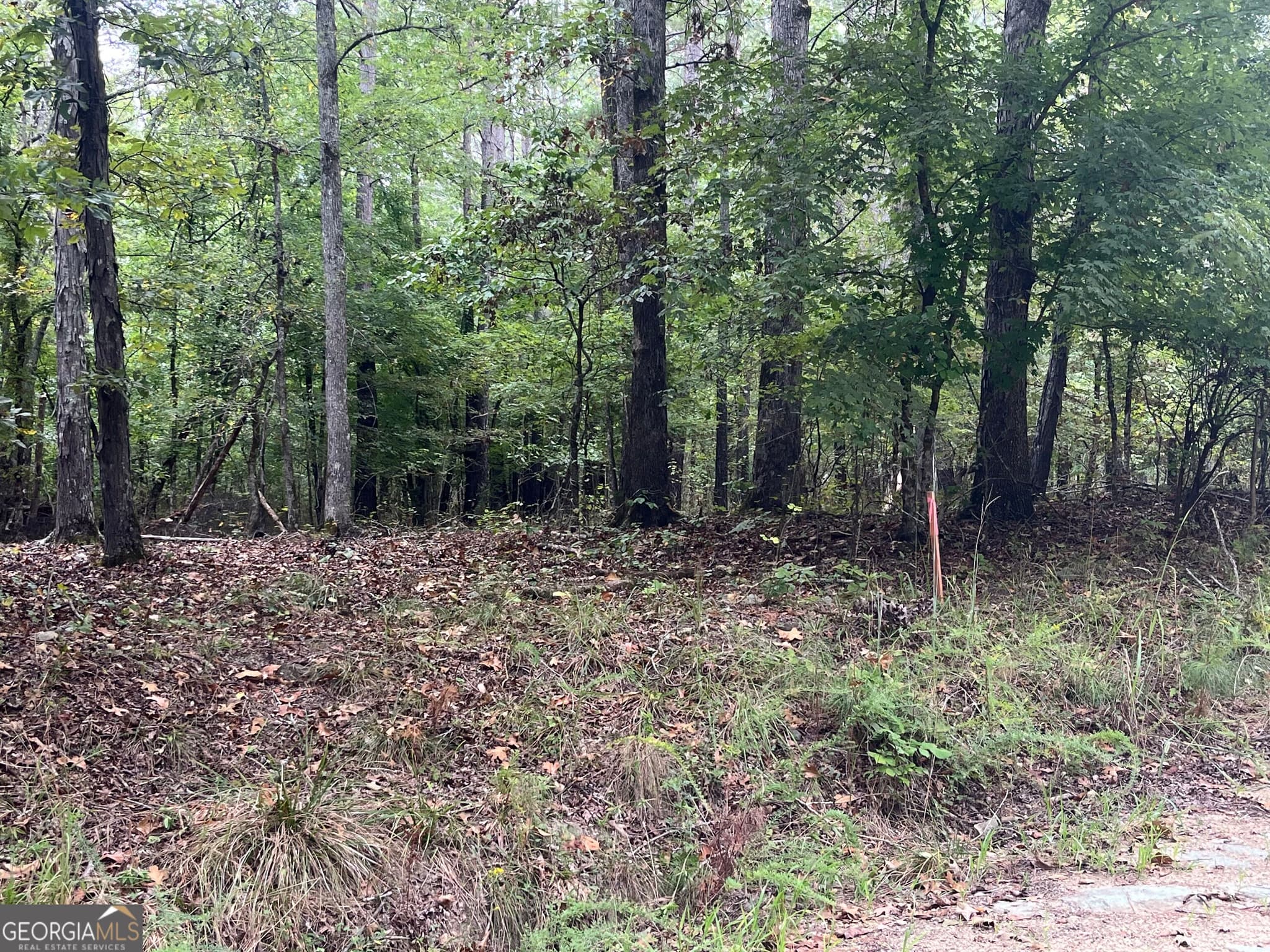 agriculture under contract at 0 Vinson Road, Tignall, GA 30668 — photo 4