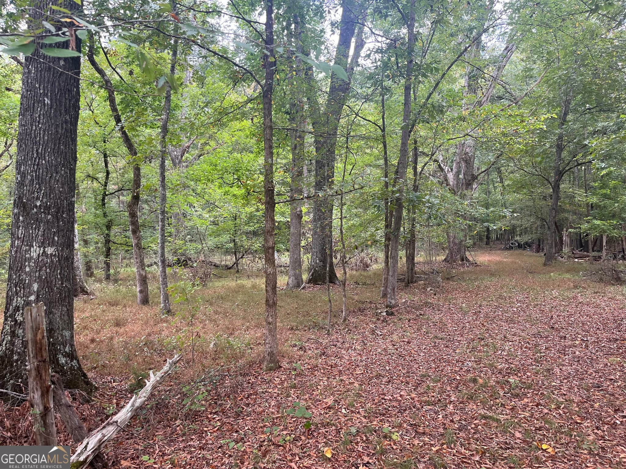 agriculture under contract at 0 Vinson Road, Tignall, GA 30668 — photo 8