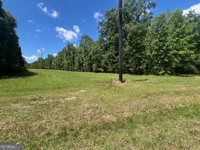 unimproved land for sale at 520 E Church Street, Sandersville, GA 31082 — photo 2