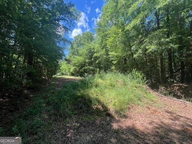 unimproved land for sale at 520 E Church Street, Sandersville, GA 31082 — photo 6