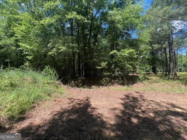 unimproved land for sale at 520 E Church Street, Sandersville, GA 31082 — photo 7