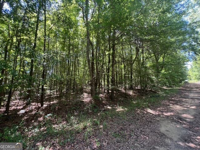 unimproved land for sale at 520 E Church Street, Sandersville, GA 31082 — photo 3