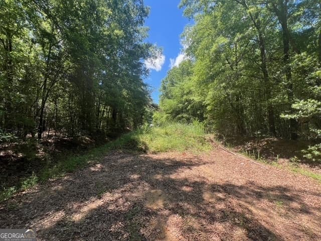 unimproved land for sale at 520 E Church Street, Sandersville, GA 31082 — photo 5