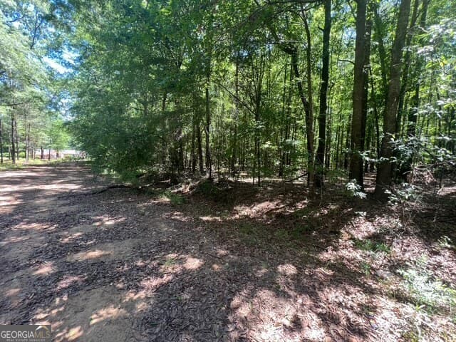 unimproved land for sale at 520 E Church Street, Sandersville, GA 31082 — photo 4