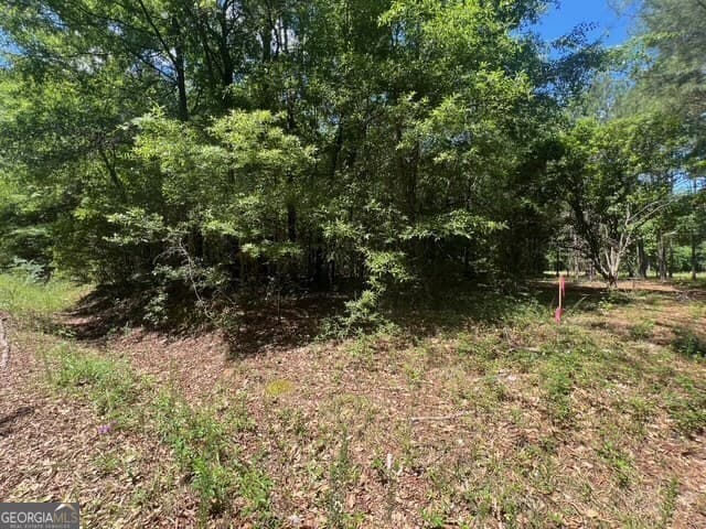 unimproved land for sale at 520 E Church Street, Sandersville, GA 31082 — photo 8