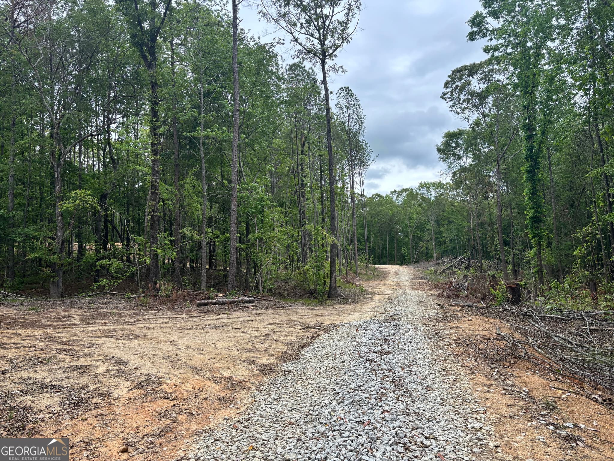 residential lot for sale at TRACT 2 343 County road 892, Wedowee, AL 36278 — photo 2