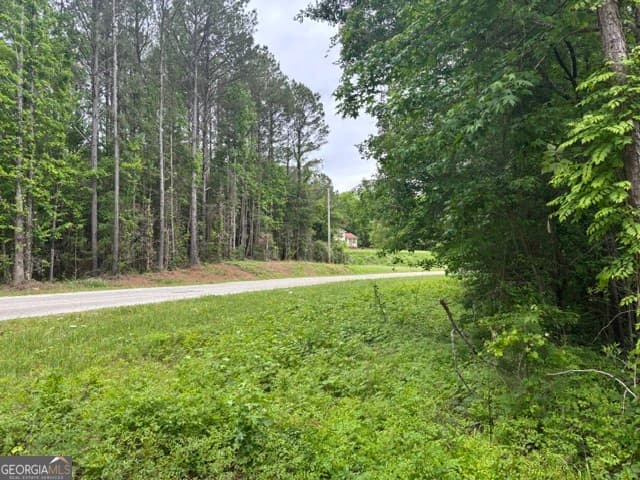 residential lot for sale at TRACT 2 343 County road 892, Wedowee, AL 36278 — photo 6