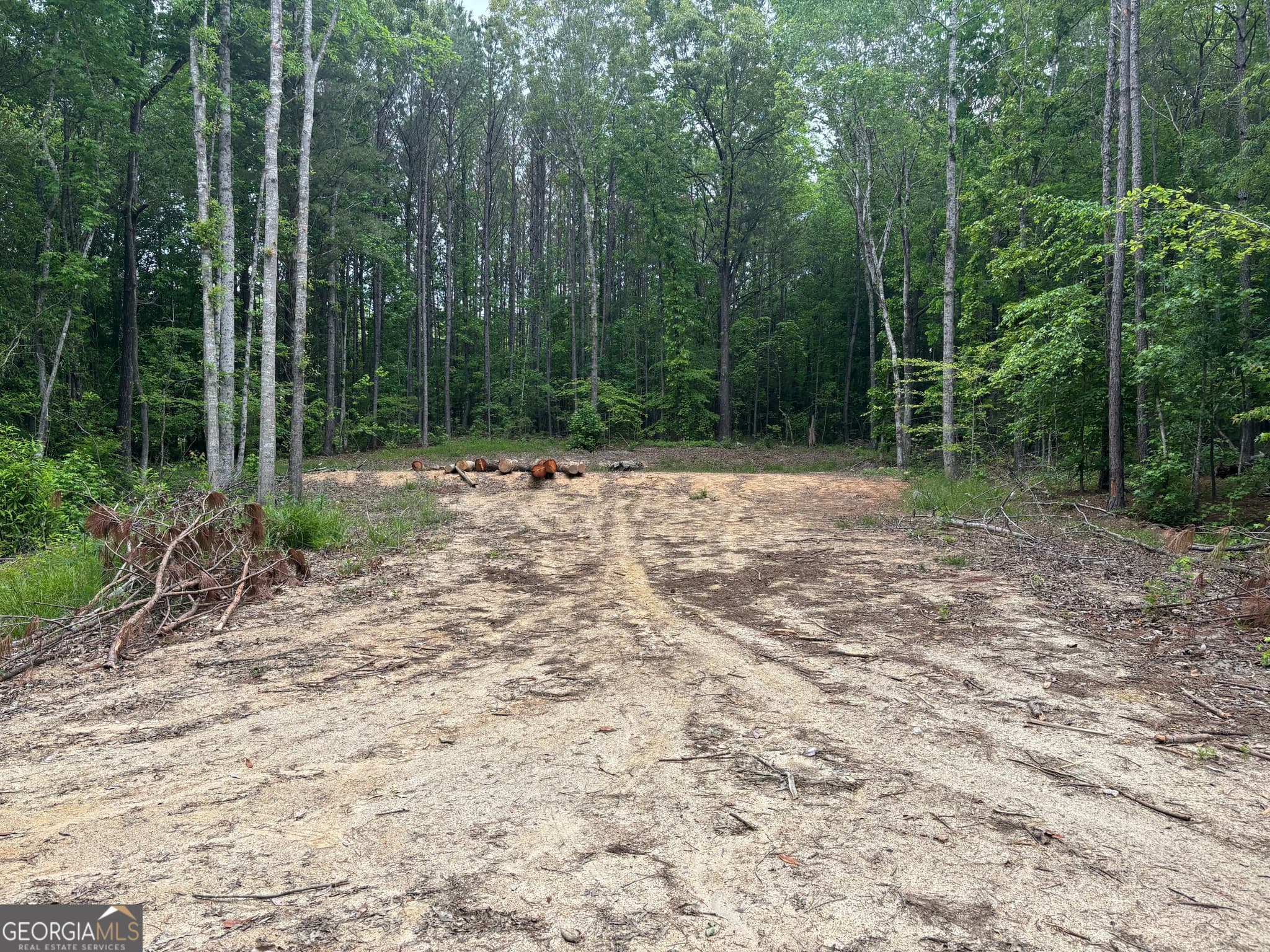 residential lot for sale at TRACT 2 343 County road 892, Wedowee, AL 36278 — photo 3