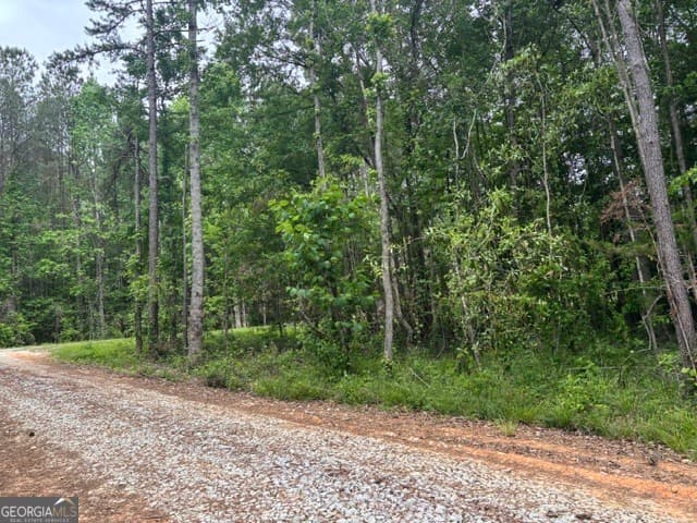 residential lot for sale at TRACT 2 343 County road 892, Wedowee, AL 36278