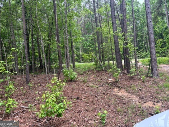 residential lot for sale at TRACT 2 343 County road 892, Wedowee, AL 36278 — photo 4