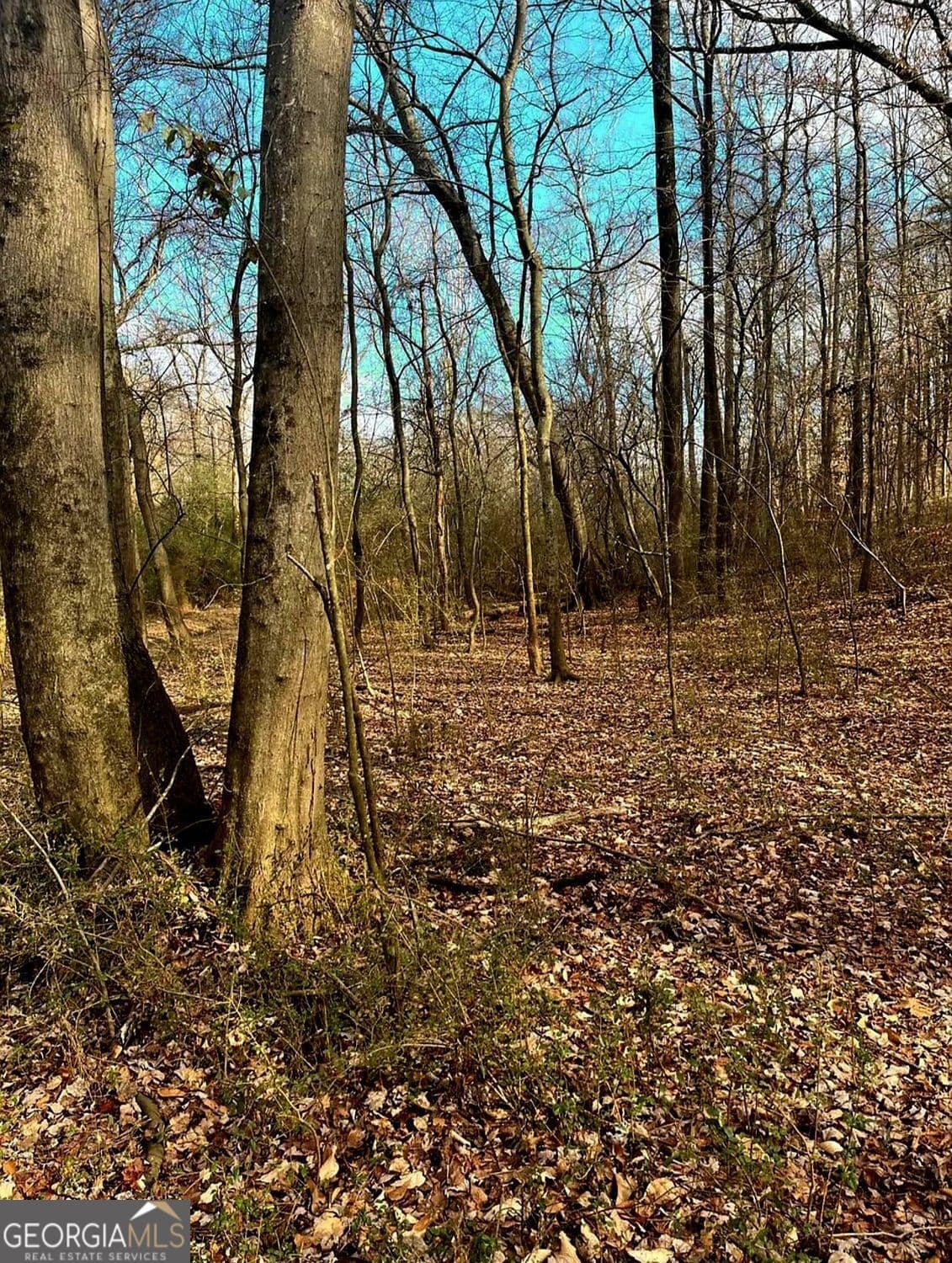 residential lot for sale at 0 Maxham Road, Austell, GA 30168 — photo 2