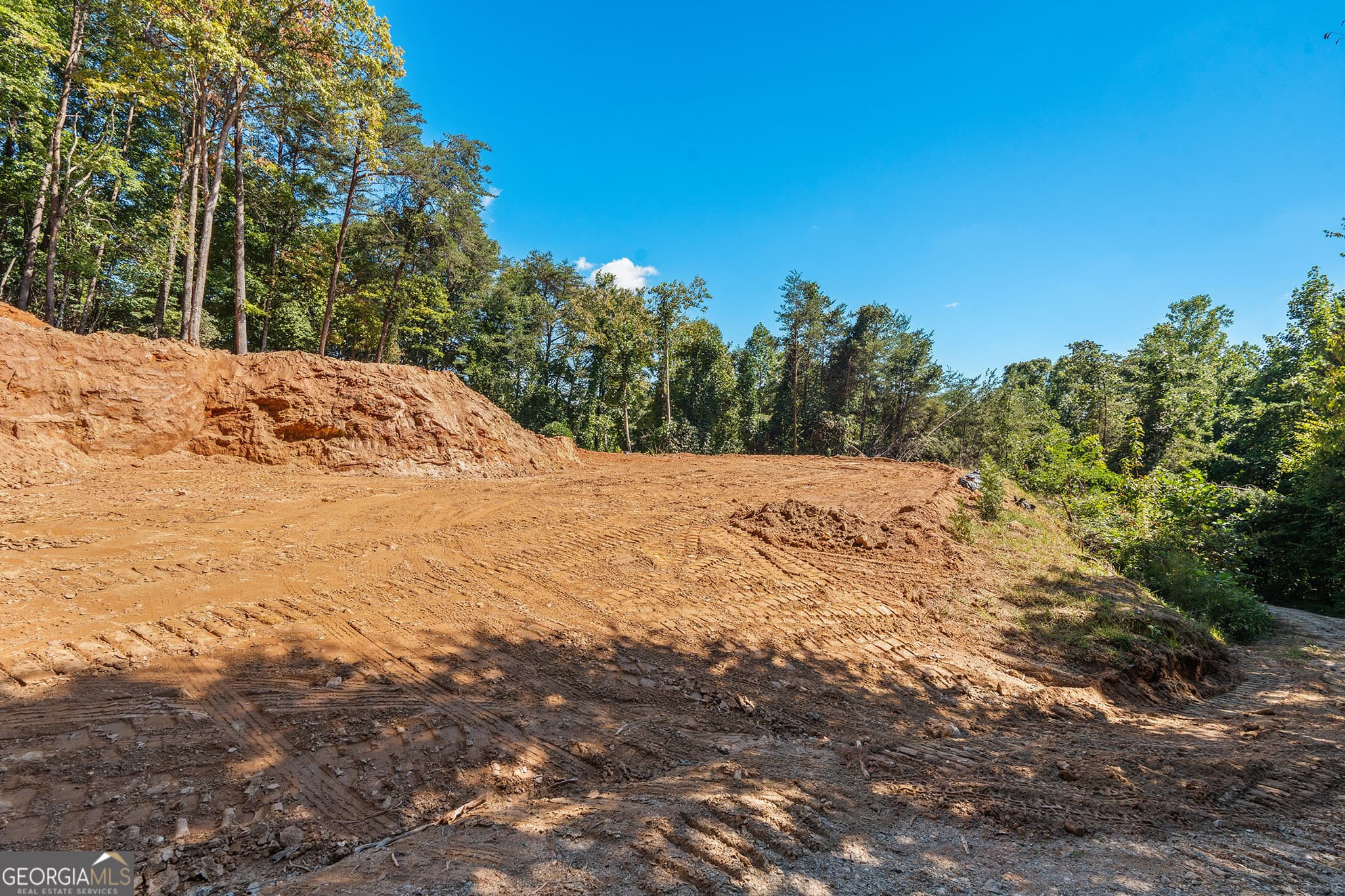 agriculture for sale at 0 Old Highway 441 North, Clayton, GA 30525 — photo 7