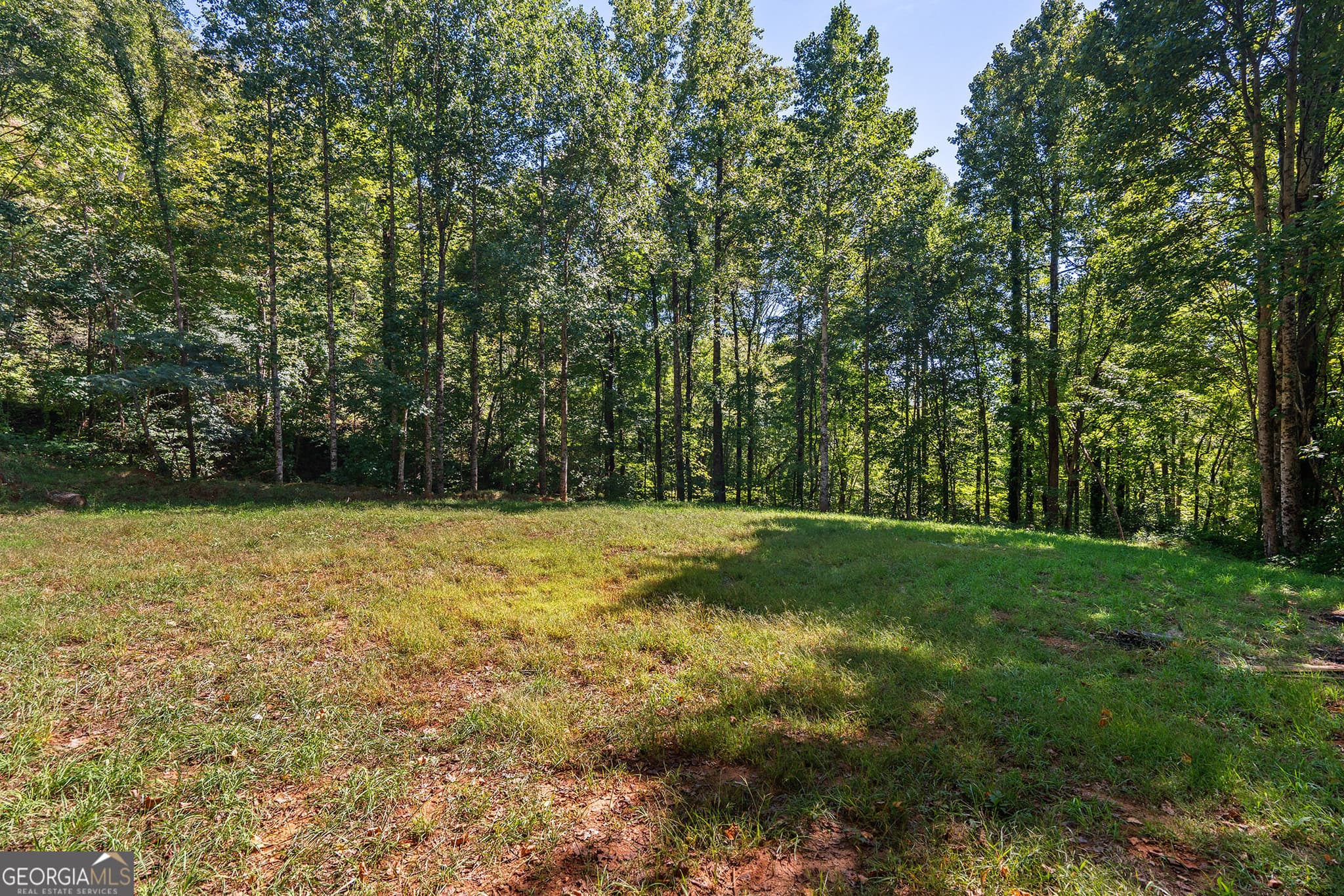 agriculture for sale at 0 Old Highway 441 North, Clayton, GA 30525 — photo 9