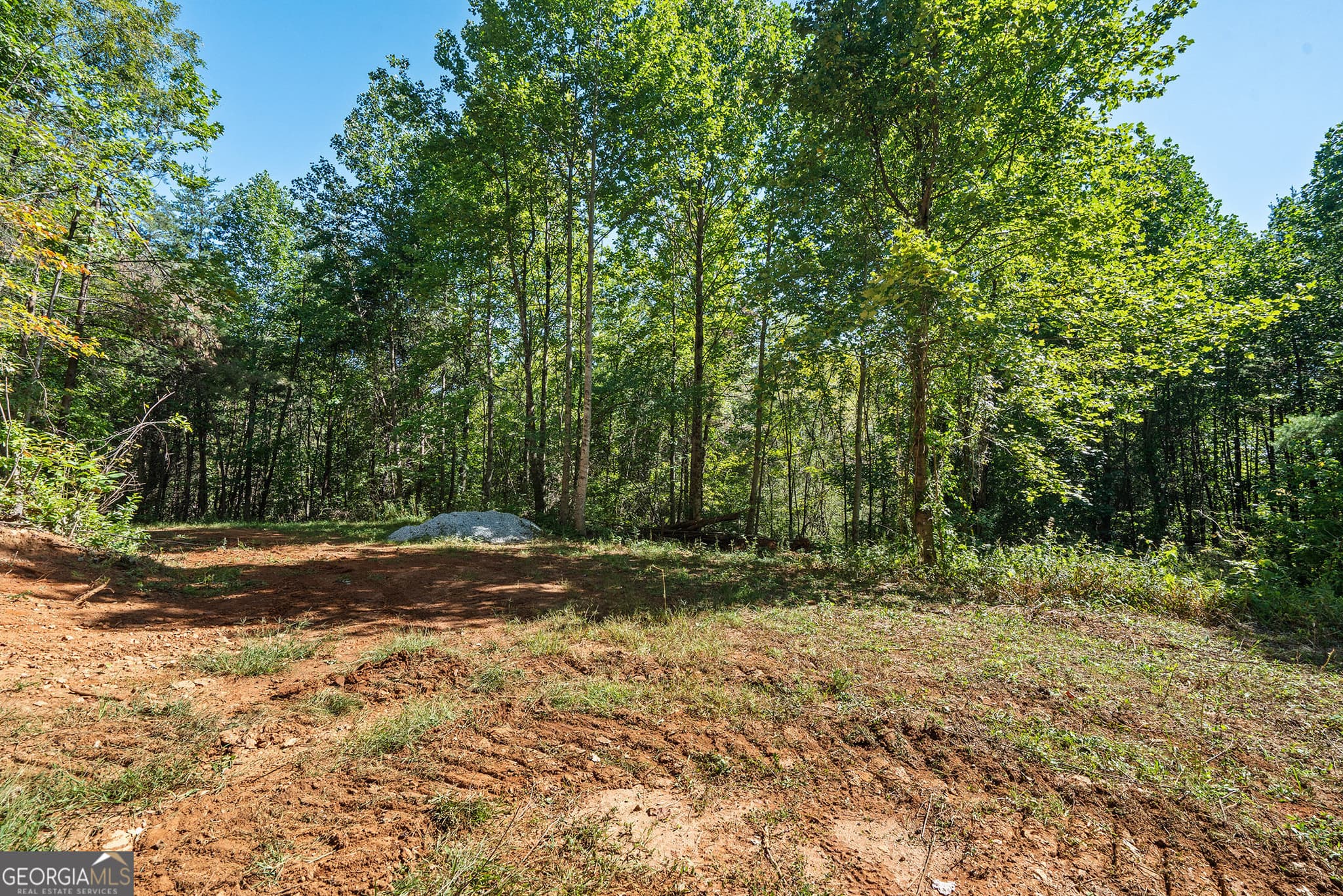 agriculture for sale at 0 Old Highway 441 North, Clayton, GA 30525 — photo 10