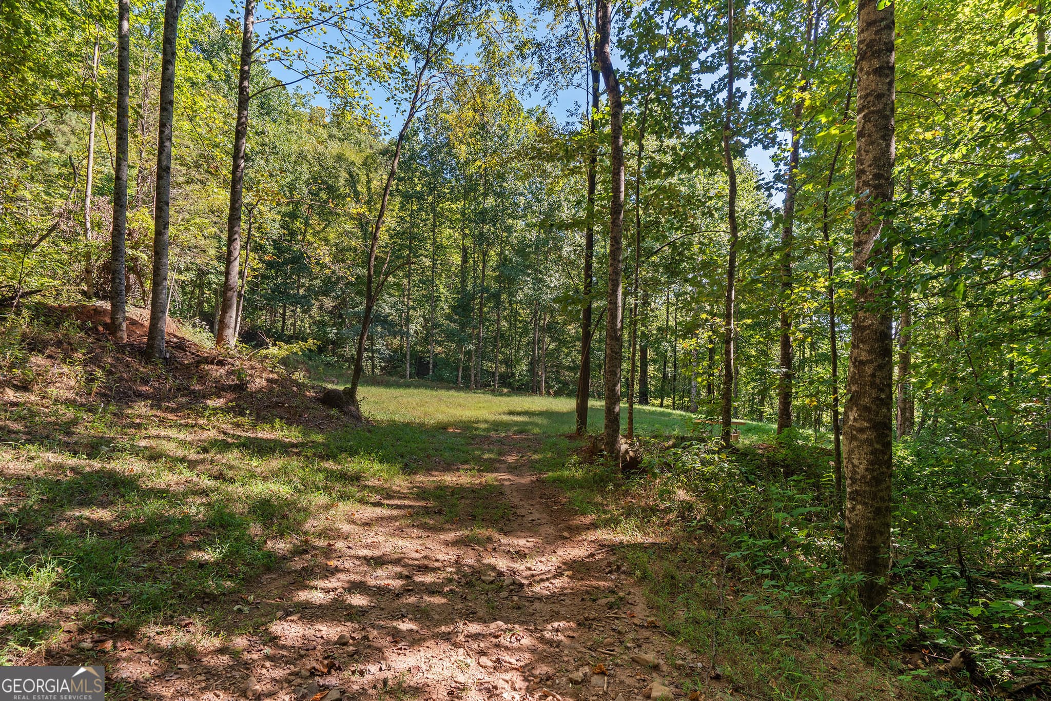 agriculture for sale at 0 Old Highway 441 North, Clayton, GA 30525 — photo 8