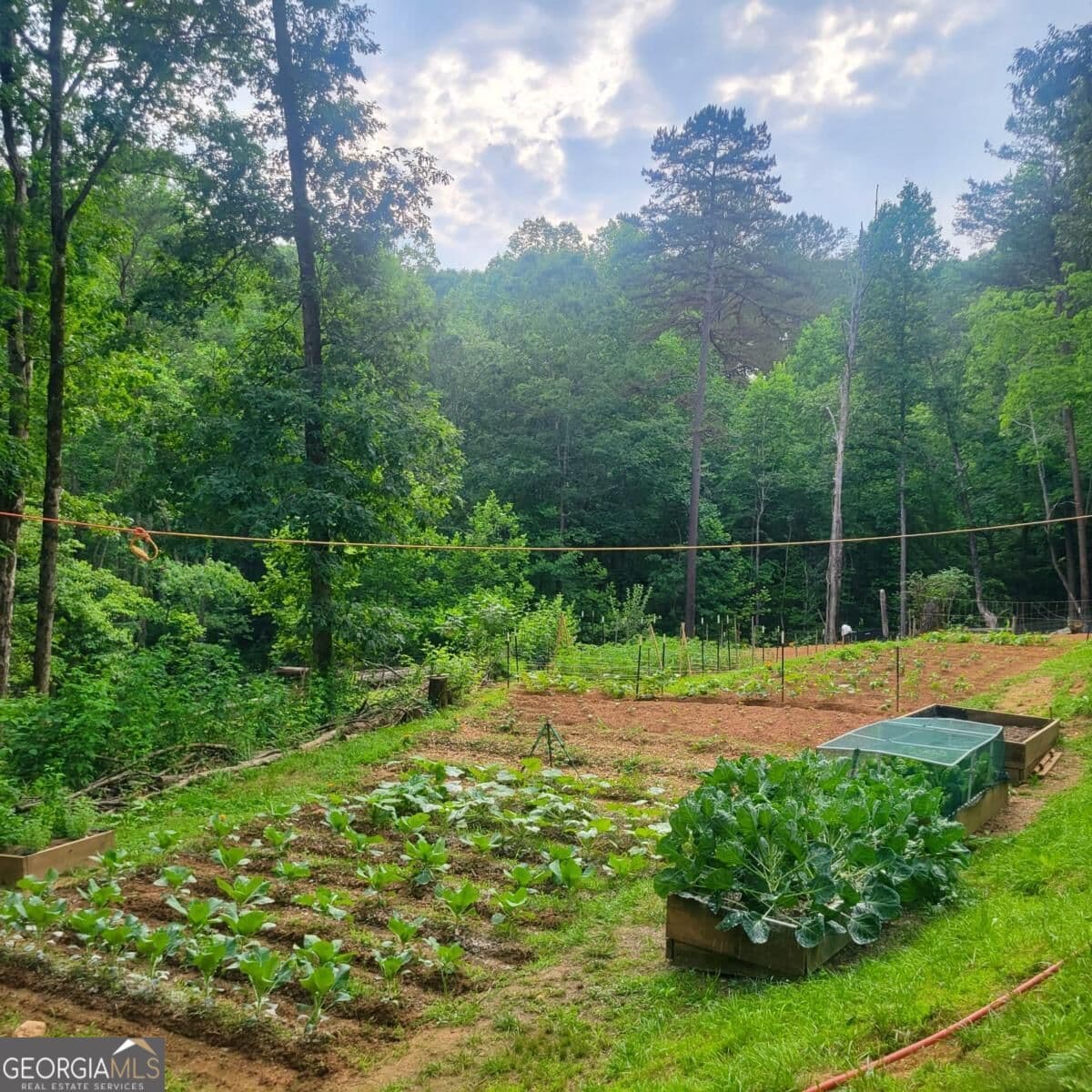 2 bedroom, 1 bathroom, 1,259 sq ft farm for sale at 235 Chadwick Road, Ellijay, GA 30536 — photo 5
