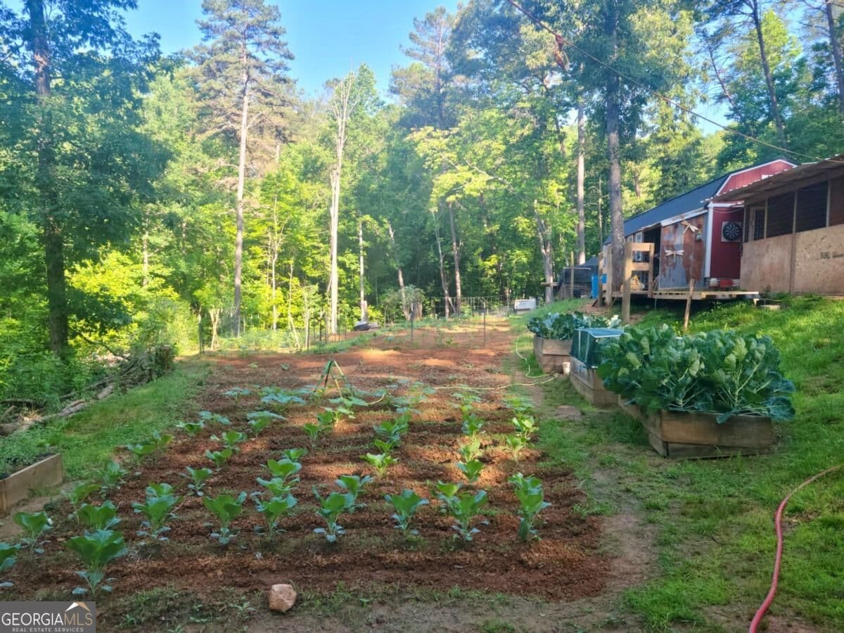 2 bedroom, 1 bathroom, 1,259 sq ft farm for sale at 235 Chadwick Road, Ellijay, GA 30536 — photo 4