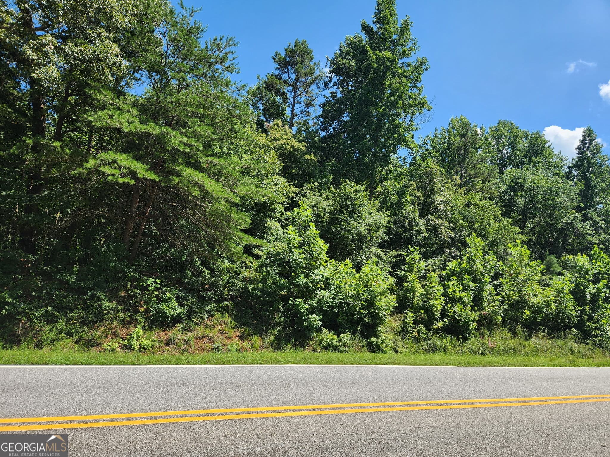 residential lot for sale at 0 Spring Road, Baldwin, GA 30511 — photo 5