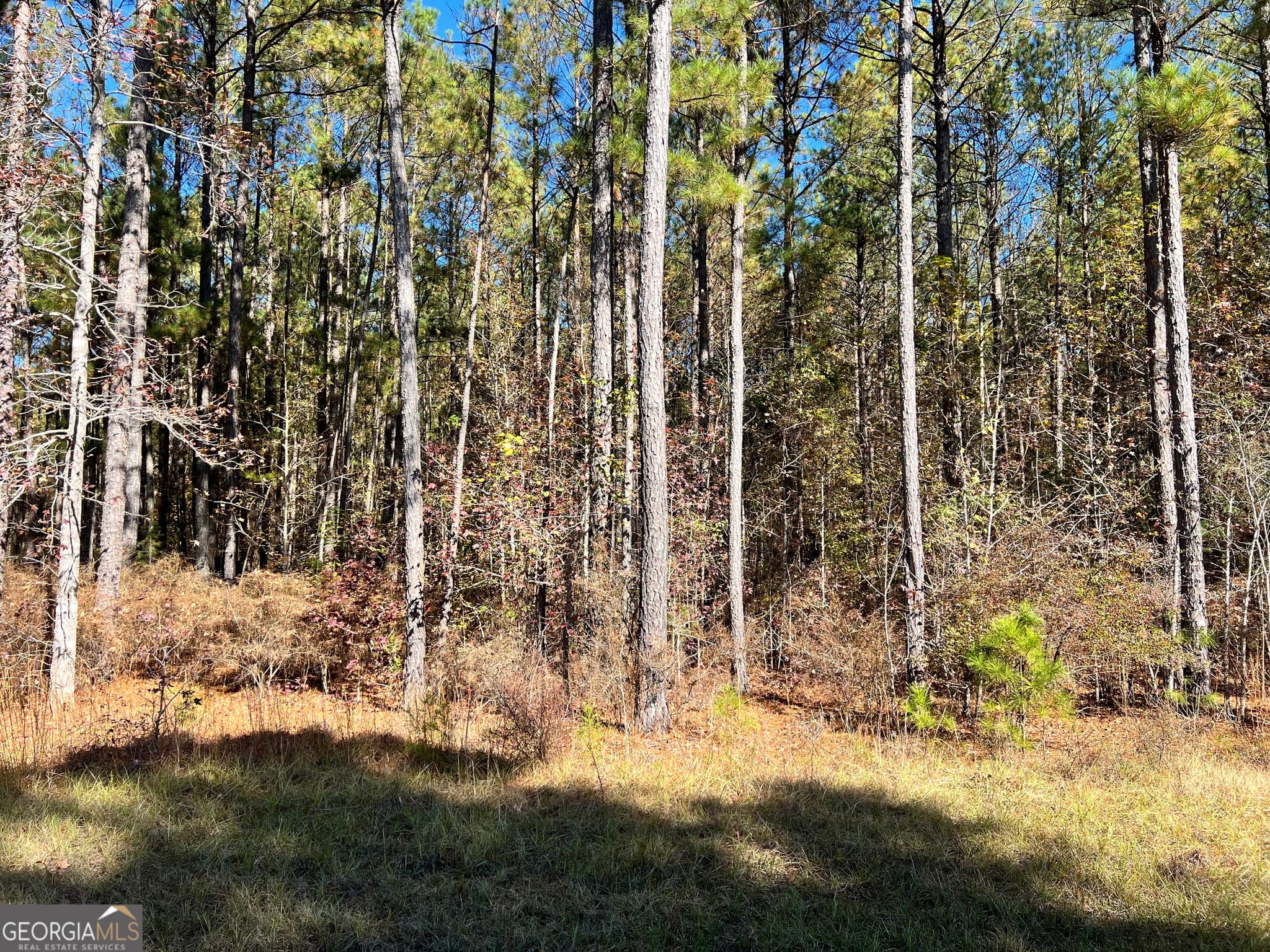 residential lot for sale at LOT #39 Mariners Way, Lincolnton, GA 30817 — photo 2