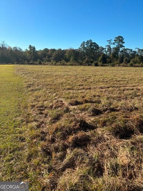 commercial for sale at 4880 HWY 280, Claxton, GA 30417 — photo 2