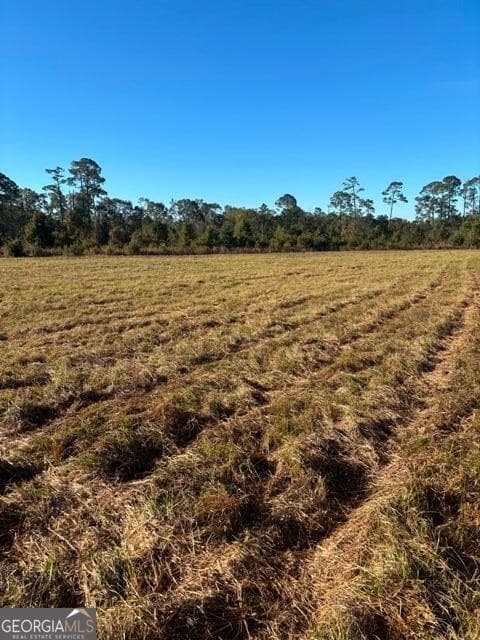 commercial for sale at 4880 HWY 280, Claxton, GA 30417