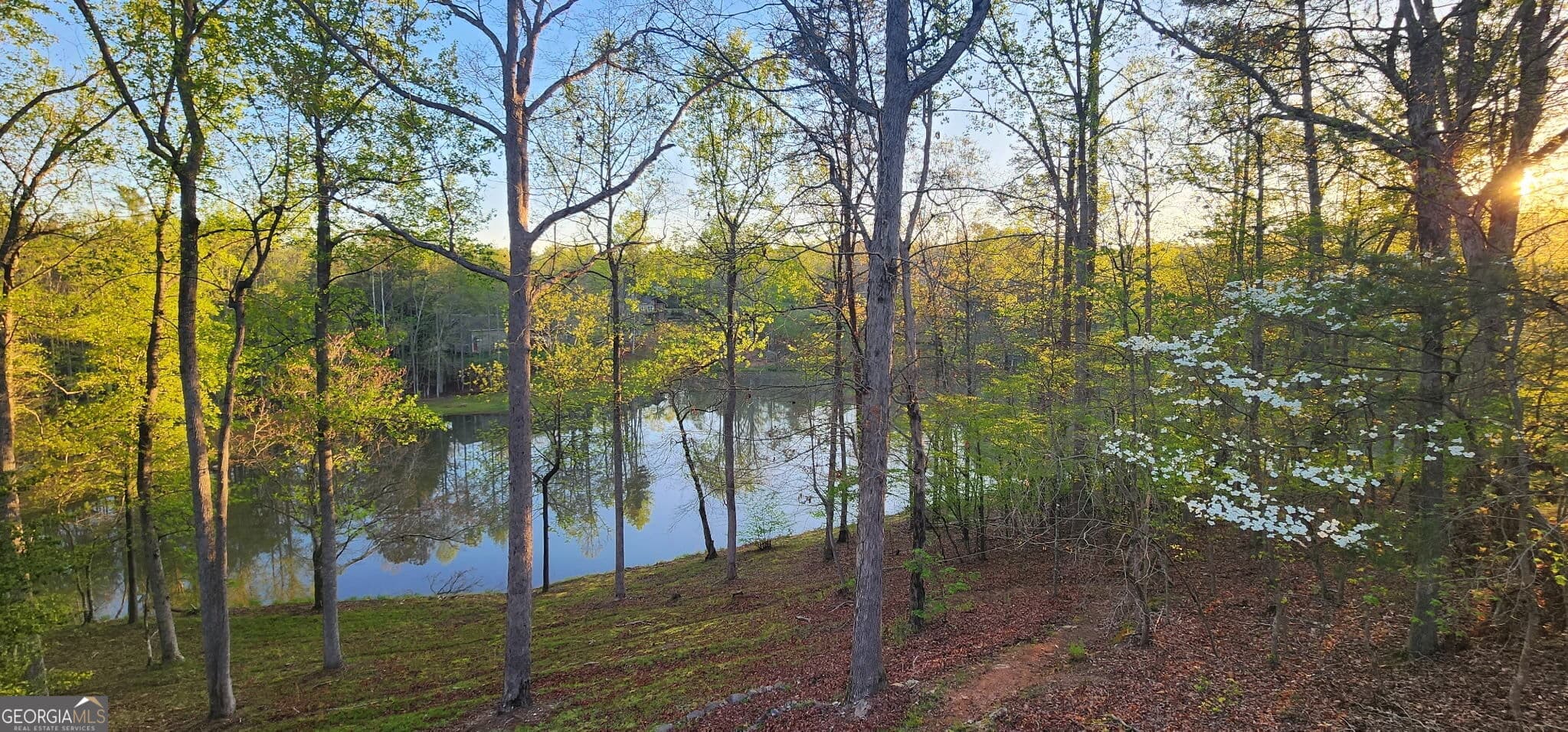 3 bedroom, 3.5 bathroom, 2,818 sq ft single family residence for sale at 327 Kissimmee Trail, Cornelia, GA 30531 — photo 2