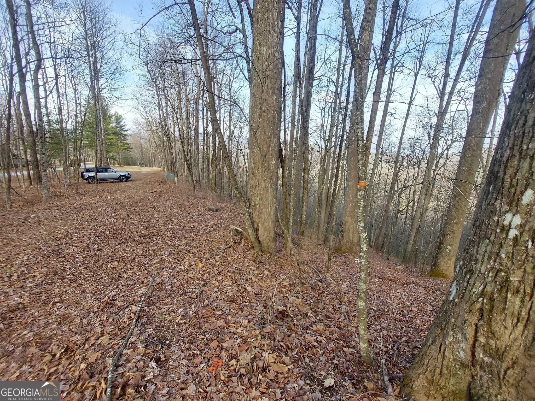 residential lot for sale at 0 LOTS 9 & 9A Wild Bird, Sky Valley, GA 30537 — photo 2