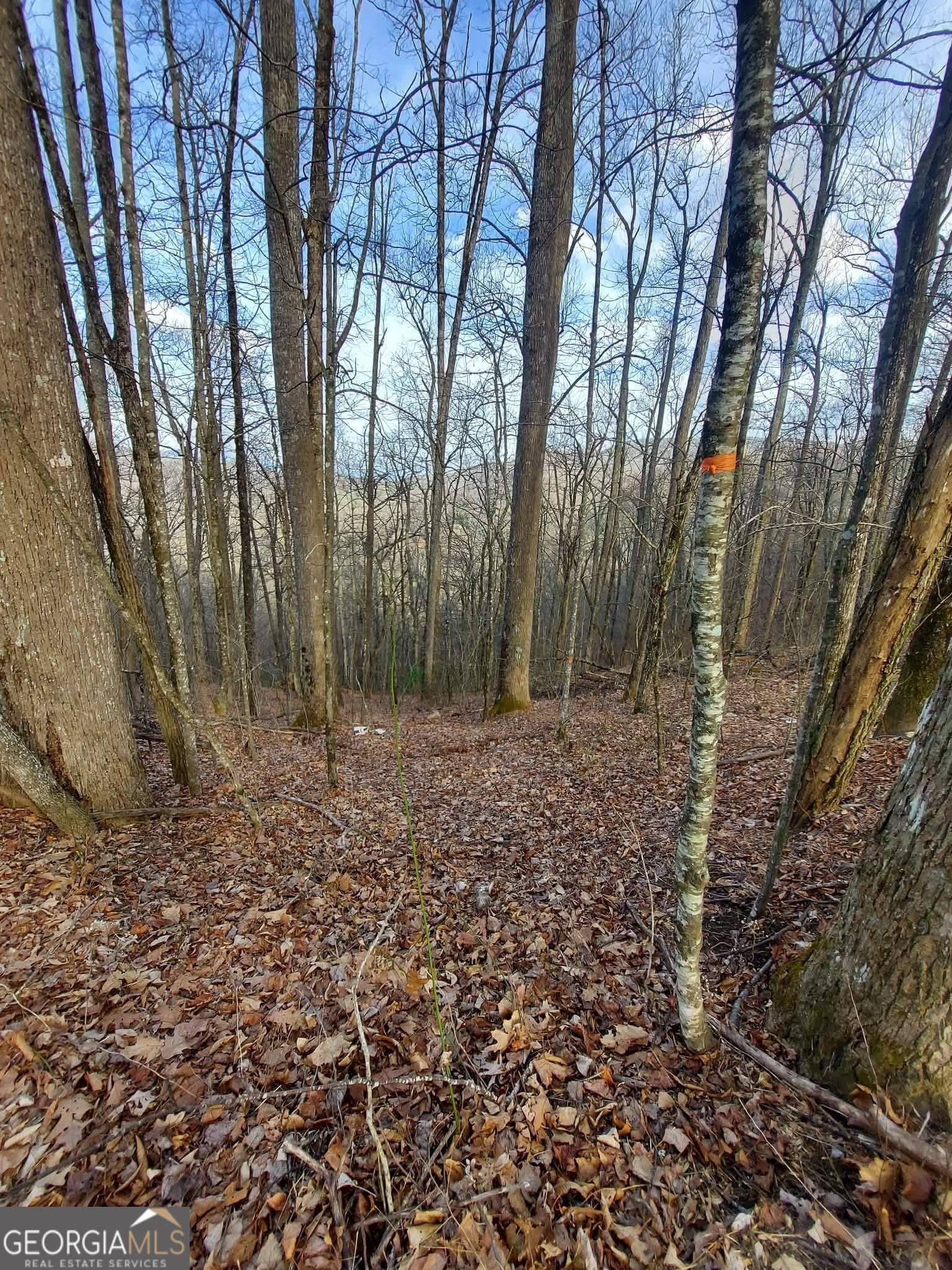residential lot for sale at 0 LOTS 9 & 9A Wild Bird, Sky Valley, GA 30537 — photo 6