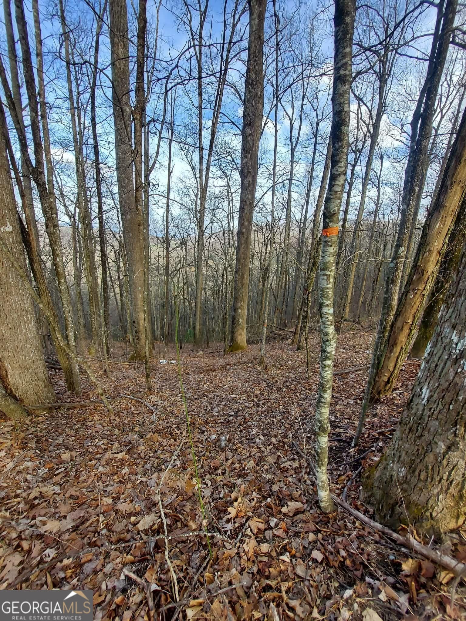 residential lot for sale at 0 LOTS 9 & 9A Wild Bird, Sky Valley, GA 30537 — photo 3