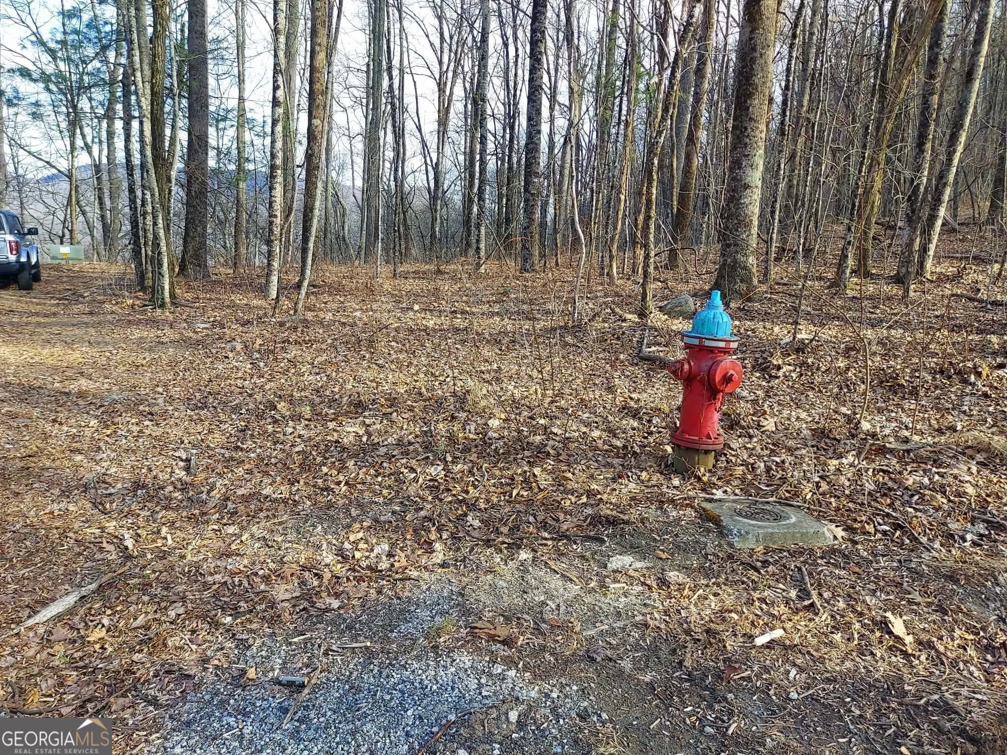 residential lot for sale at 0 LOTS 9 & 9A Wild Bird, Sky Valley, GA 30537 — photo 1 of 12