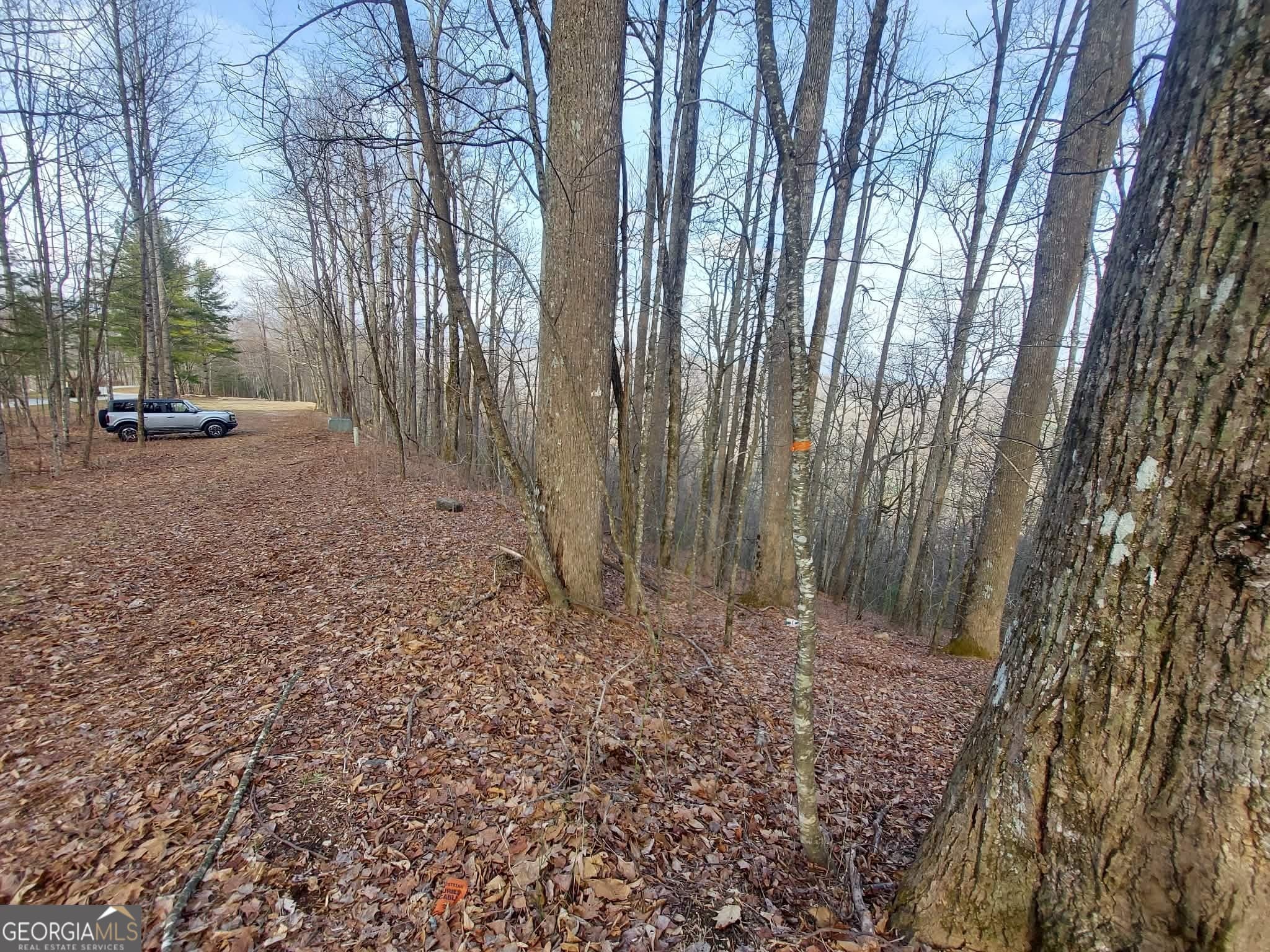 residential lot for sale at 0 LOTS 9 & 9A Wild Bird, Sky Valley, GA 30537 — photo 5