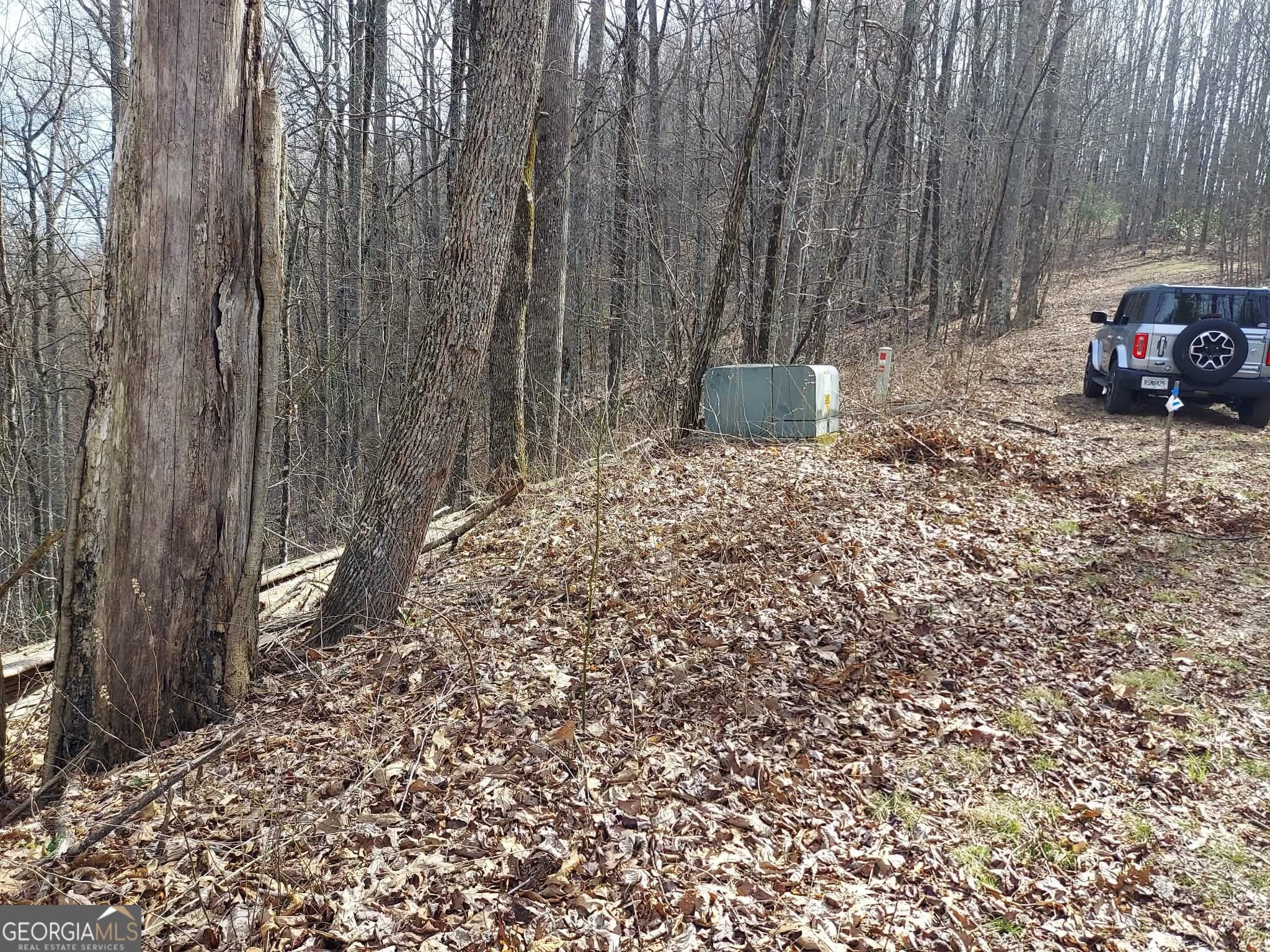 residential lot for sale at 0 LOTS 9 & 9A Wild Bird, Sky Valley, GA 30537 — photo 9