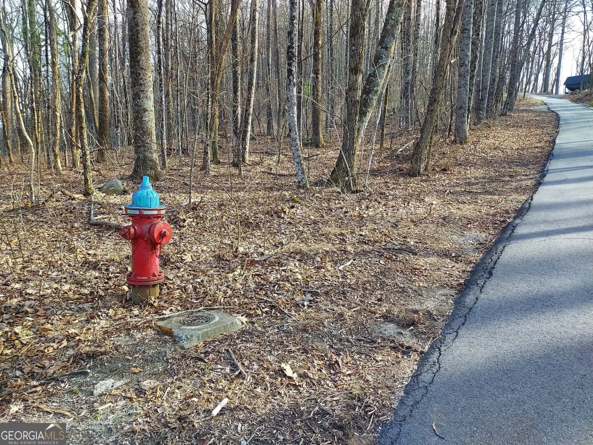 residential lot for sale at 0 LOTS 9 & 9A Wild Bird, Sky Valley, GA 30537 — photo 4