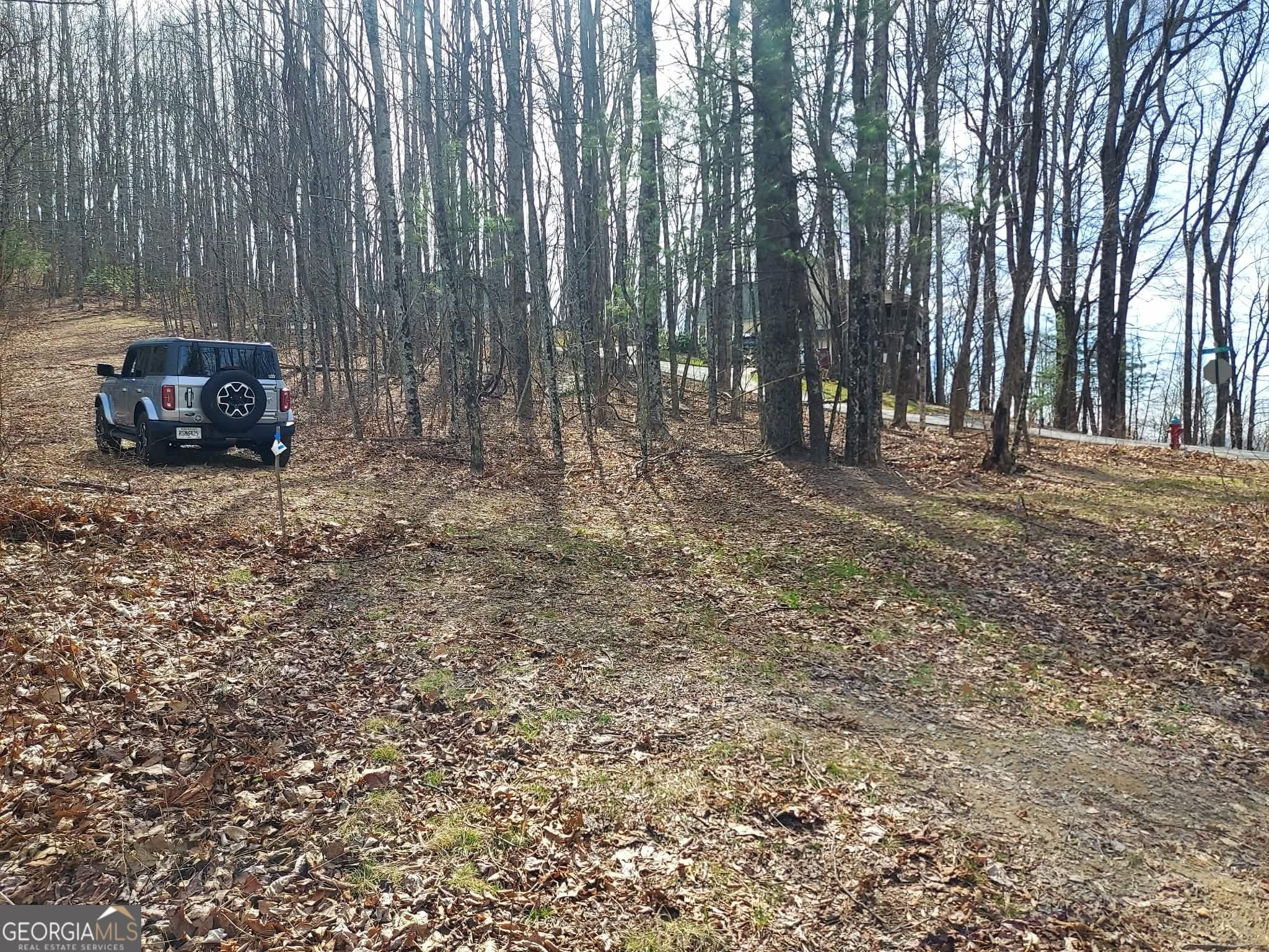 residential lot for sale at 0 LOTS 9 & 9A Wild Bird, Sky Valley, GA 30537 — photo 8