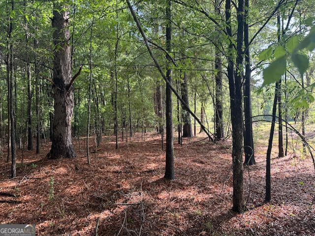 3 bedroom, 2 bathroom, 1,442 sq ft single family residence for sale at 319 E McCarty Street, Sandersville, GA 31082 — photo 9