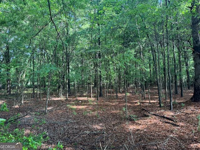 3 bedroom, 2 bathroom, 1,442 sq ft single family residence for sale at 319 E McCarty Street, Sandersville, GA 31082 — photo 8