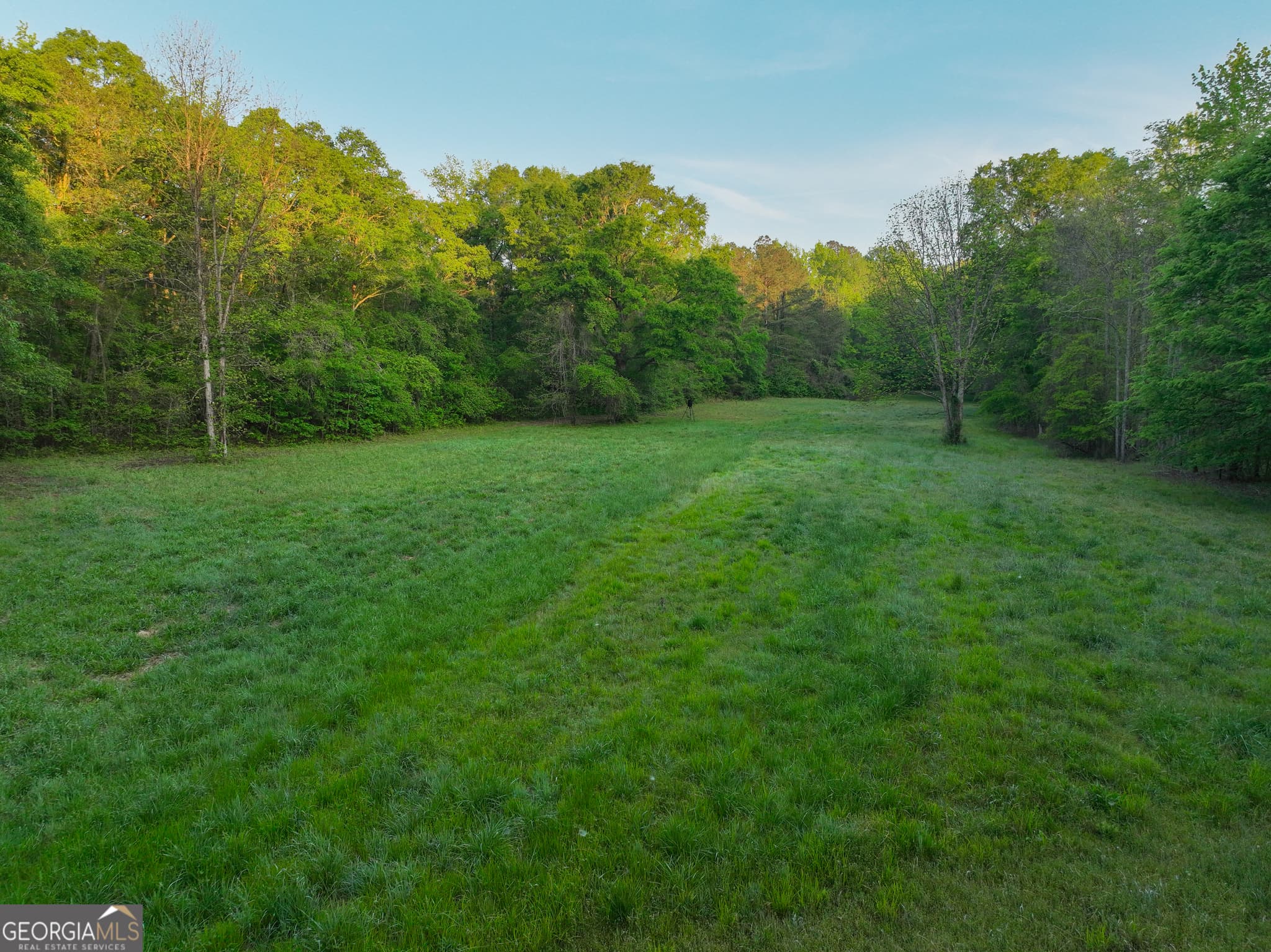 agriculture for sale at 56 Ivey Circle, Forsyth, GA 31029 — photo 2
