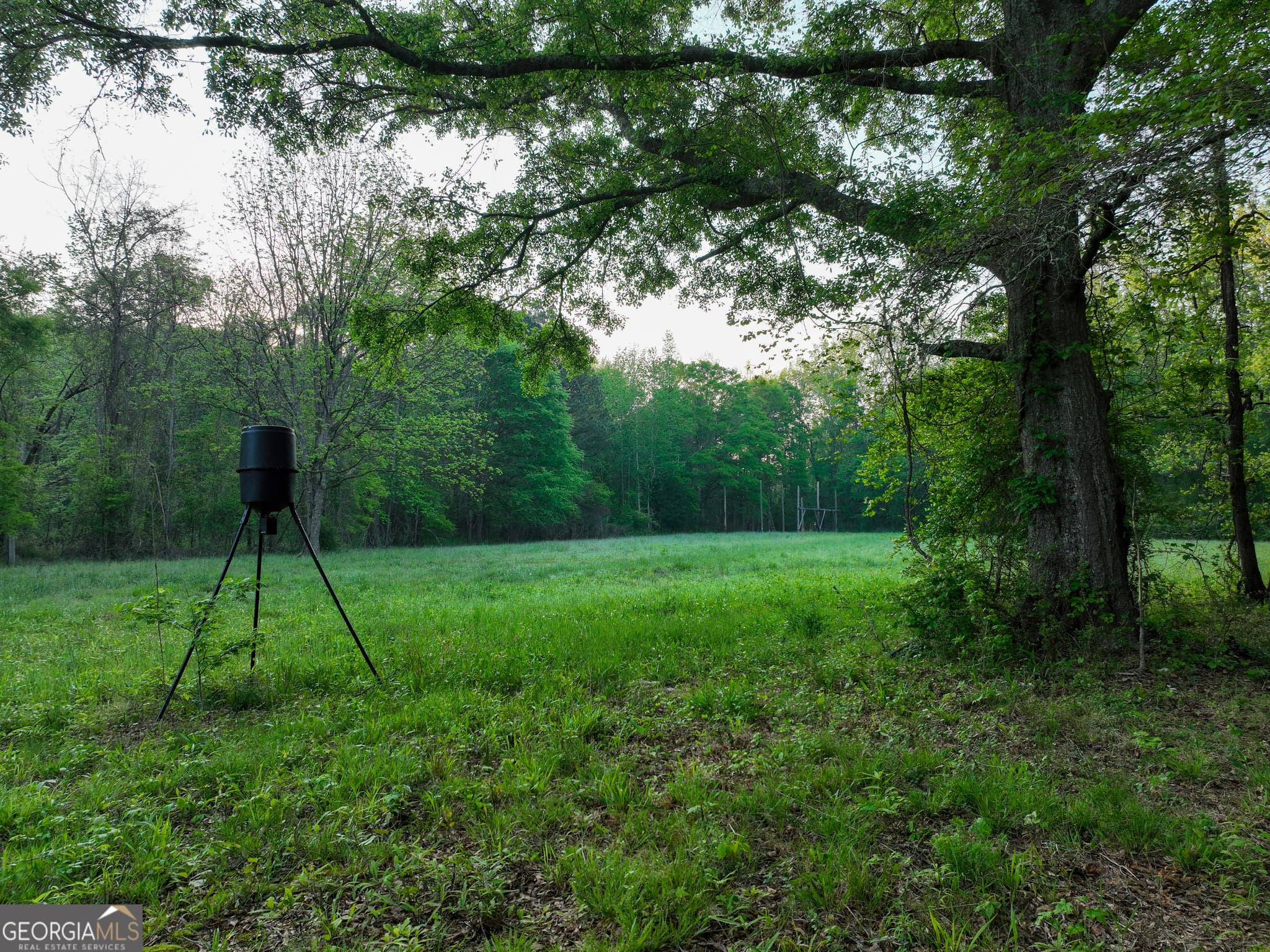 agriculture for sale at 56 Ivey Circle, Forsyth, GA 31029 — photo 3