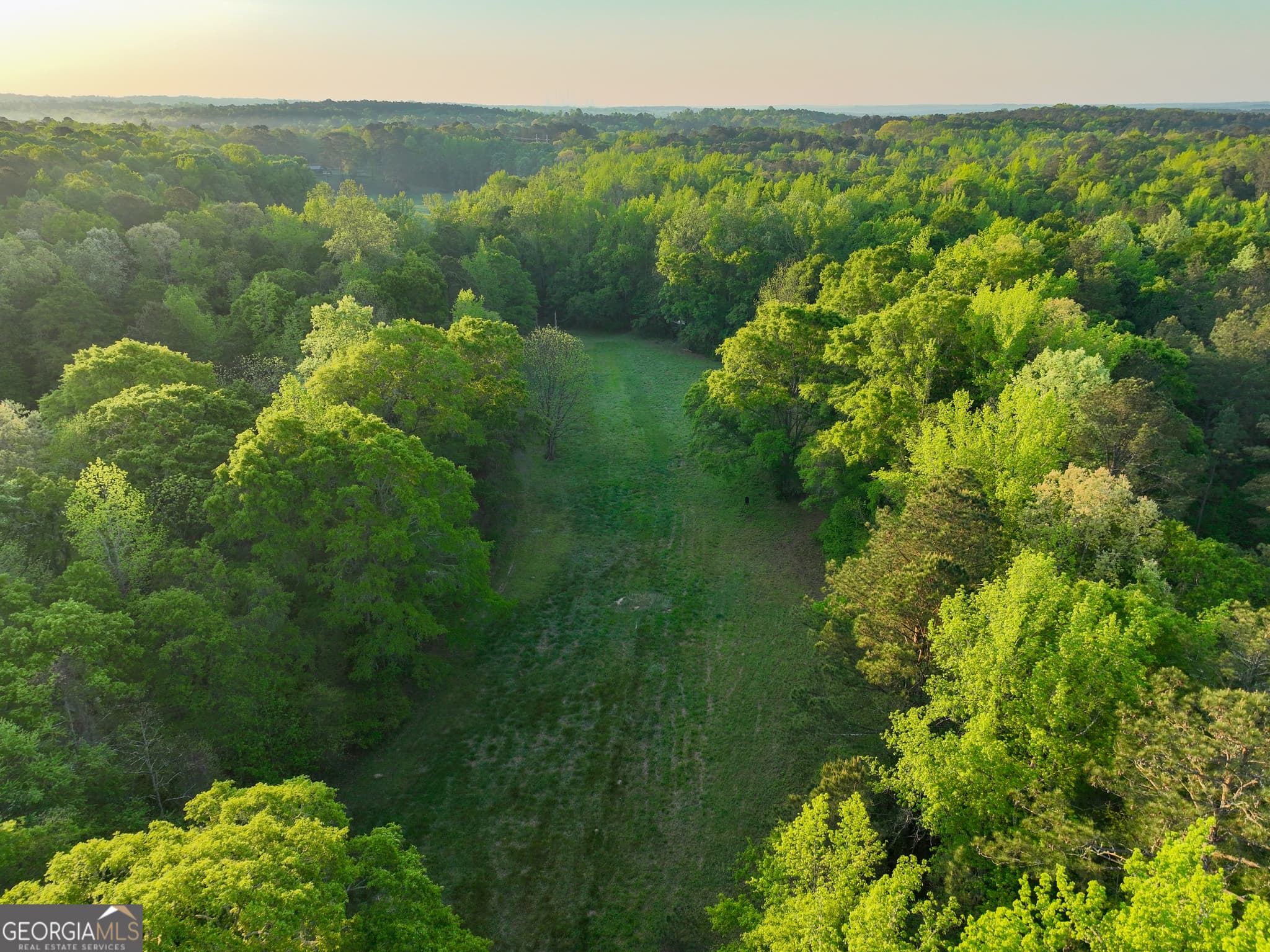 agriculture for sale at 56 Ivey Circle, Forsyth, GA 31029 — photo 1 of 28