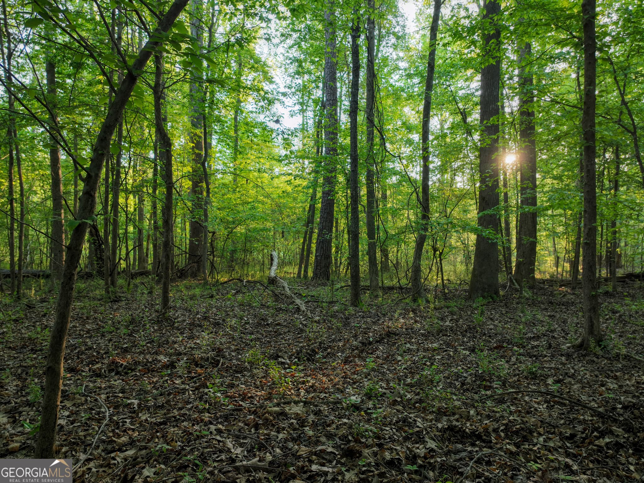 agriculture for sale at 56 Ivey Circle, Forsyth, GA 31029 — photo 5