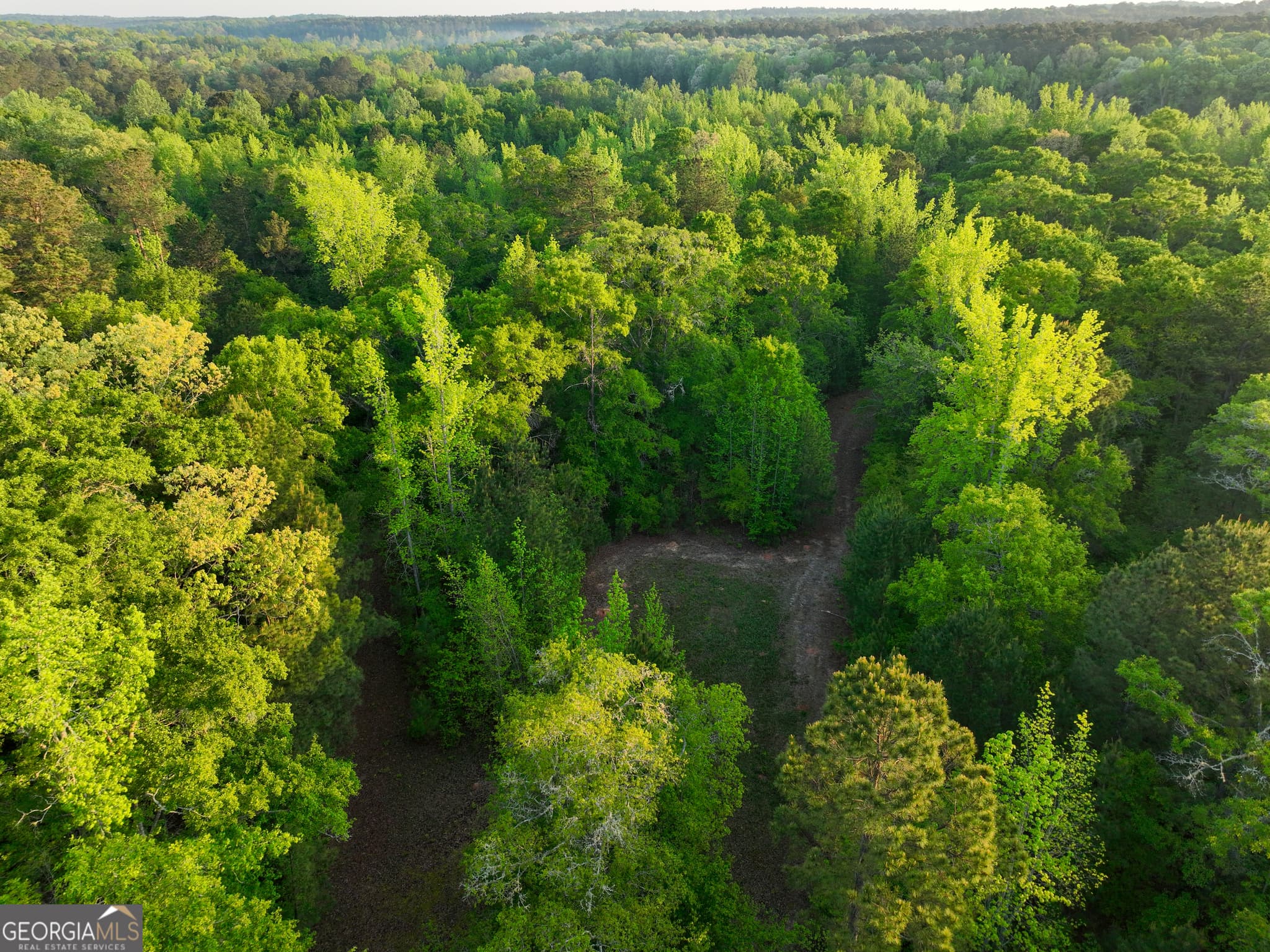 agriculture for sale at 56 Ivey Circle, Forsyth, GA 31029 — photo 9