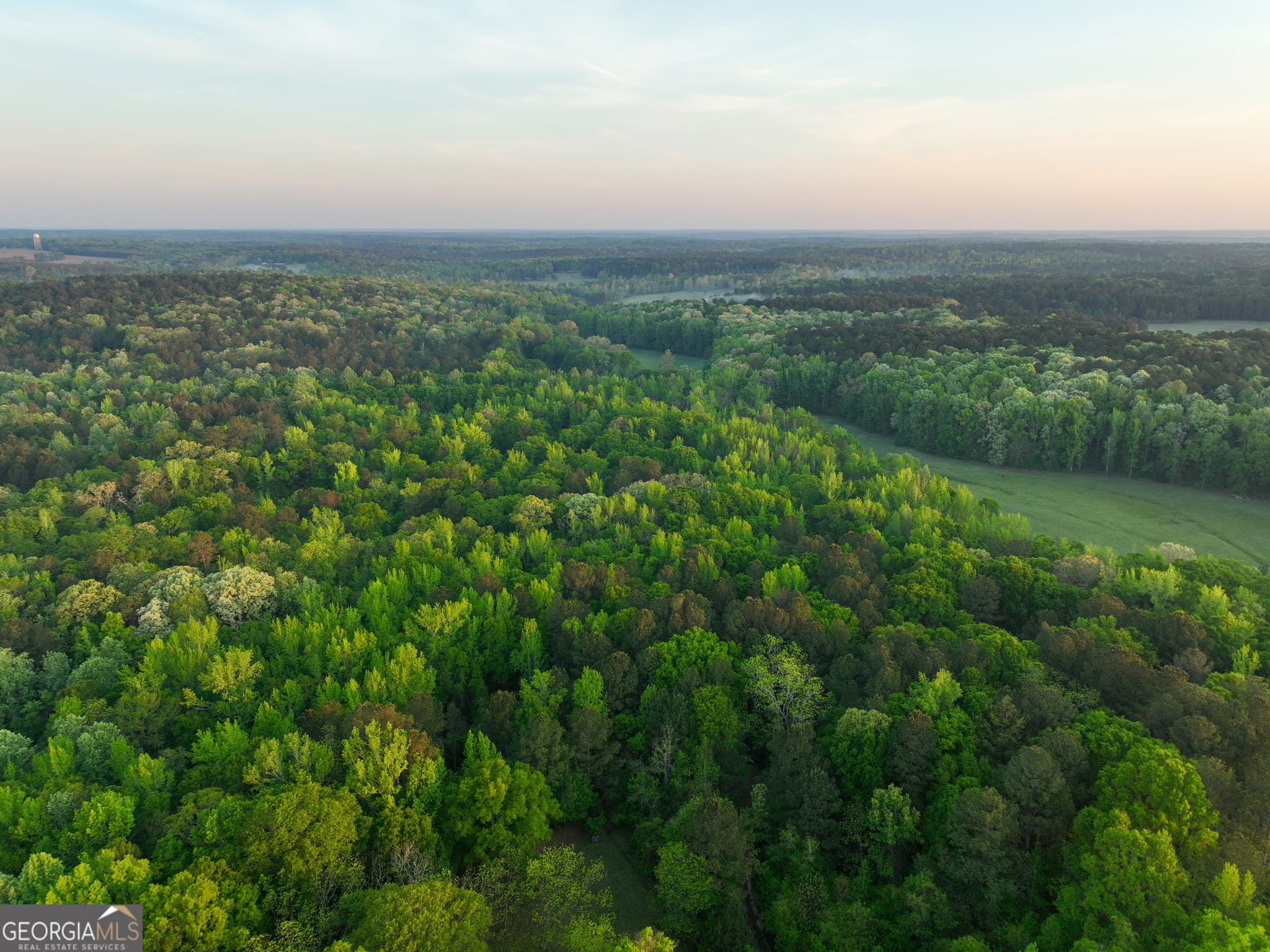 agriculture for sale at 56 Ivey Circle, Forsyth, GA 31029 — photo 10