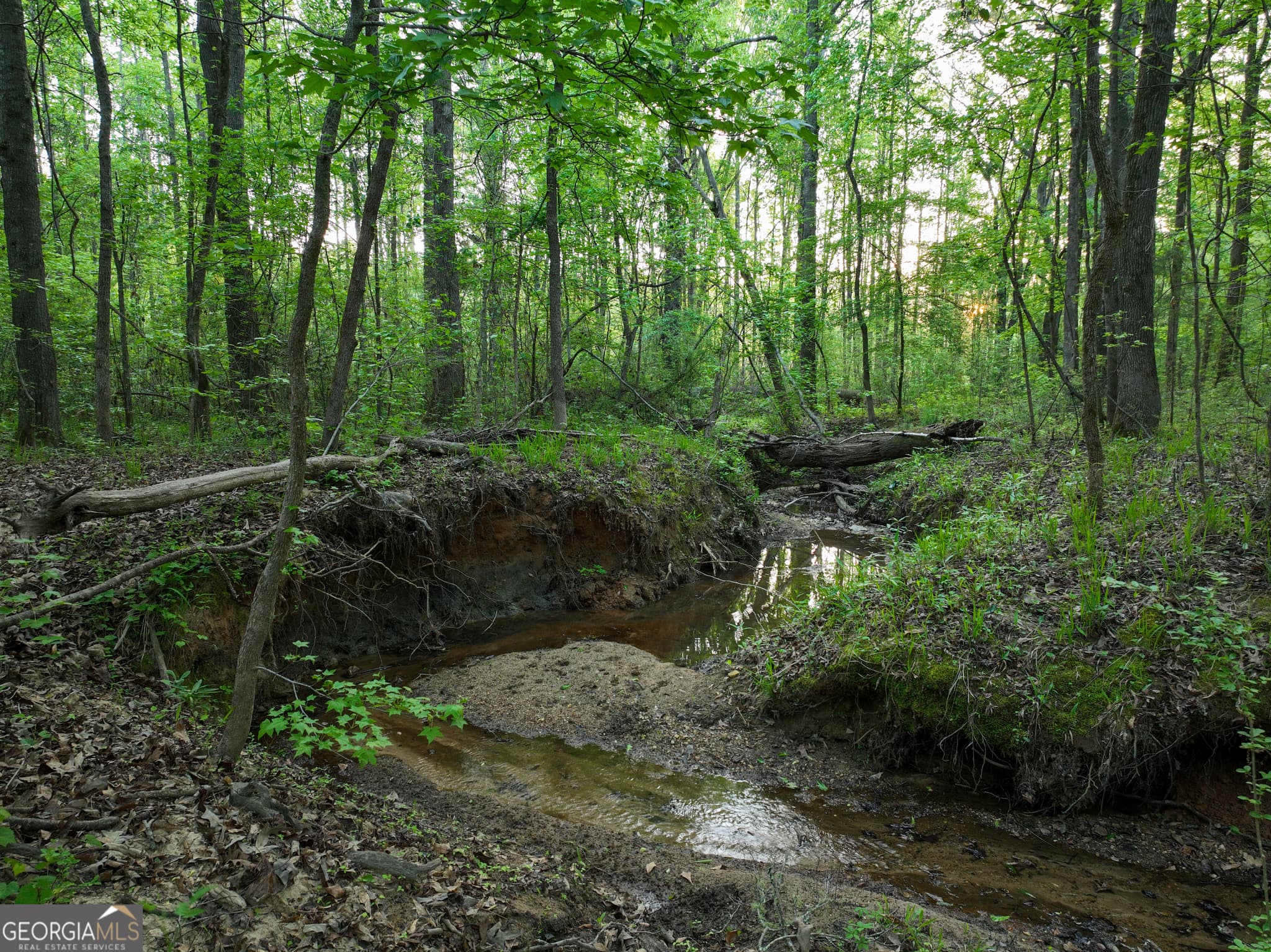 agriculture for sale at 56 Ivey Circle, Forsyth, GA 31029 — photo 4