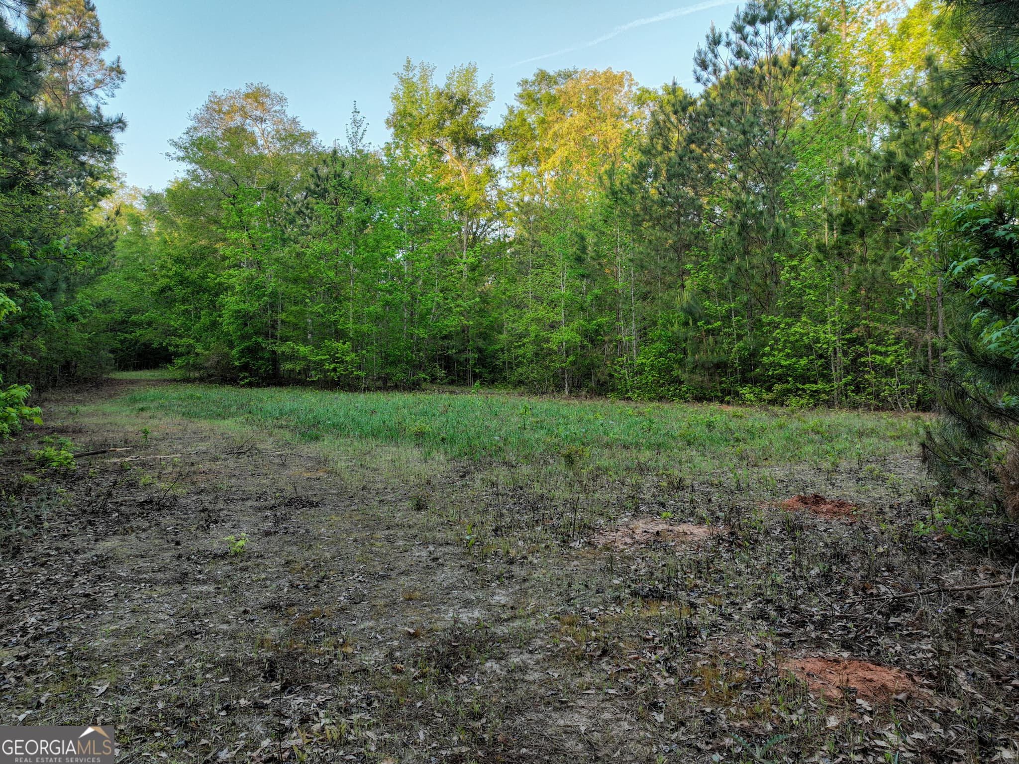 agriculture for sale at 56 Ivey Circle, Forsyth, GA 31029 — photo 8